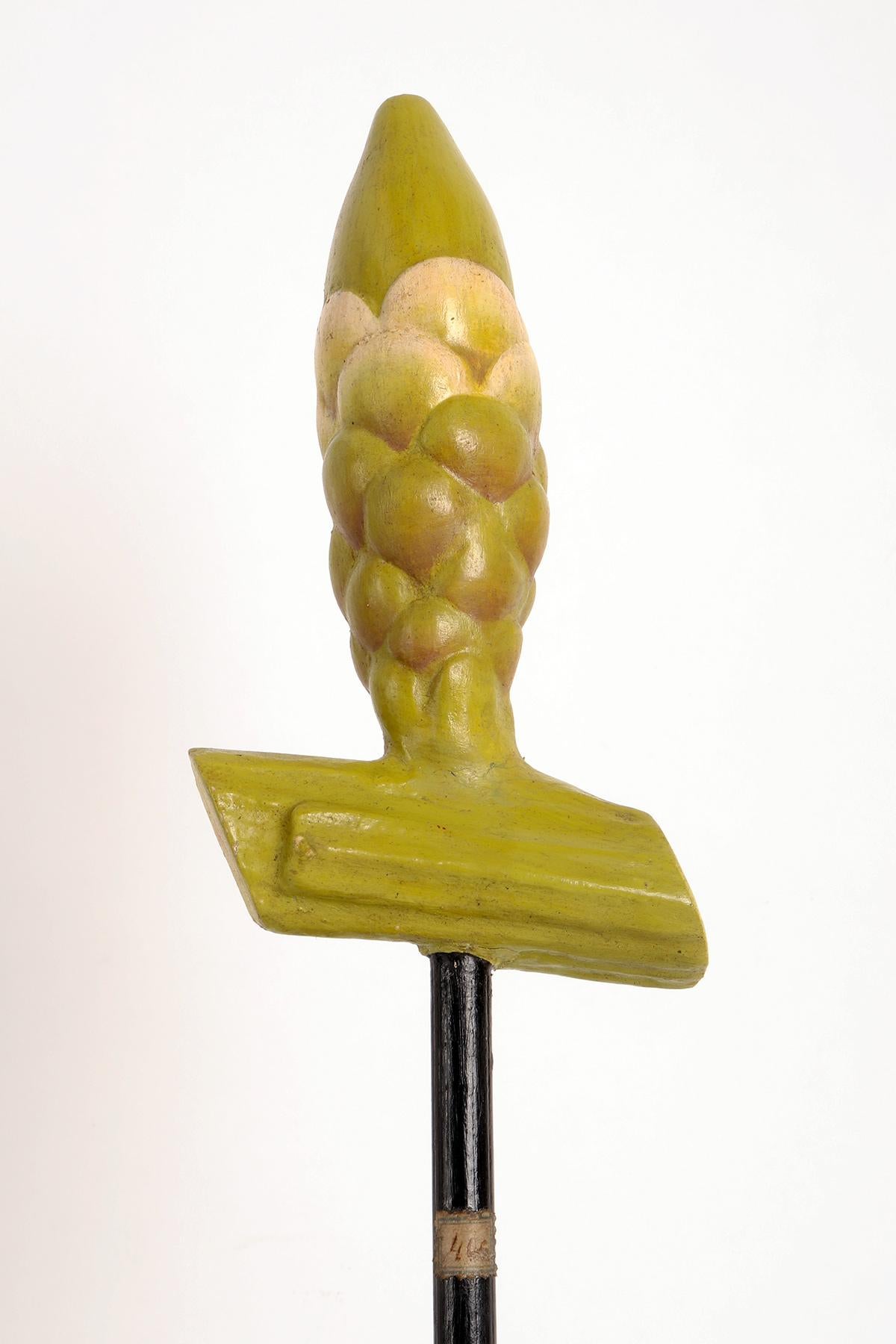 A Brendel botanic model: Taxus-Yew, Germany 1900. For Sale 2
