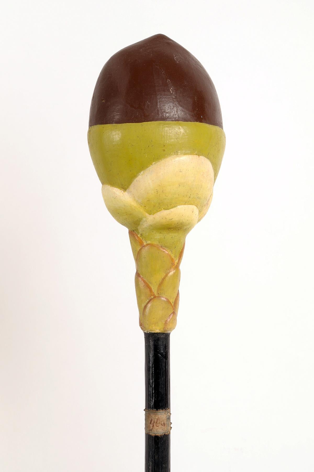 A Brendel botanic model: Taxus-Yew, Germany 1900. For Sale 4