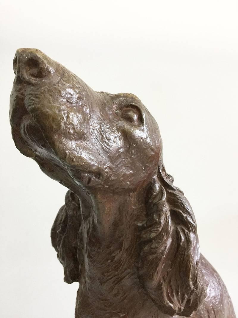 Cocker Spaniel en bronze 

Statue en bronze d'un chien avec une patine brunâtre

Fabricant anonyme:: vers 1900

La taille est de 62 cm de haut
La profondeur est de 37 cm
La largeur est de 30 cm

Le poids est de 24 kilo