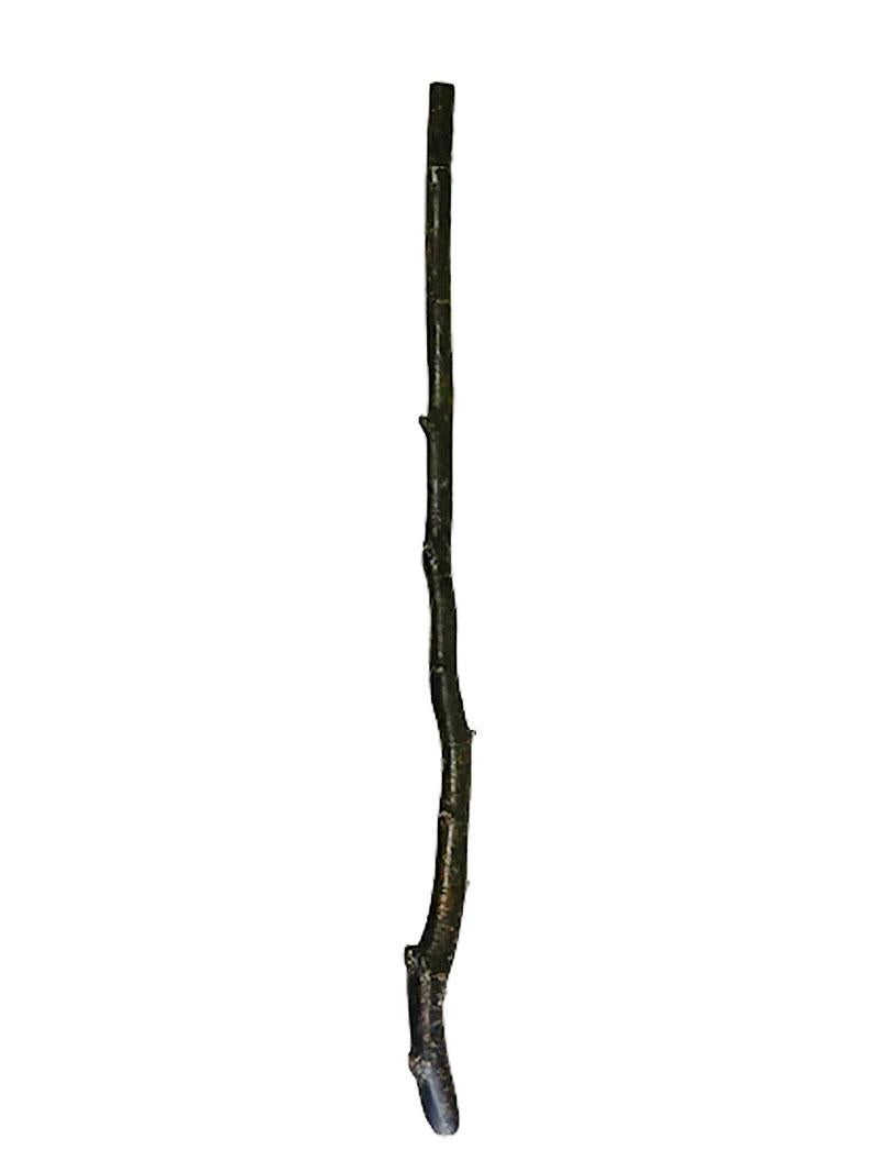 A bronze fire poker in the shape of a branch of a tree

A heavy bronze poker in realistic motif of a branch
The length is 69 cm and 3 cm in diameter
The weight is 1780 grams.