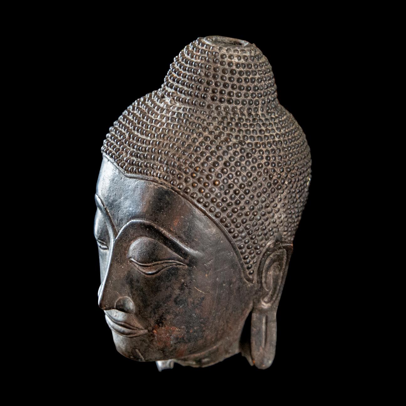 Bronze cast with delicate serene features, very refined detailing throughout. Featuring bow-shaped mouth and downcast eyes, flanked by pendulous pierced earlobes, the hair in raised stipple snail-shell curls over the conical ushnisha. Beautiful dark