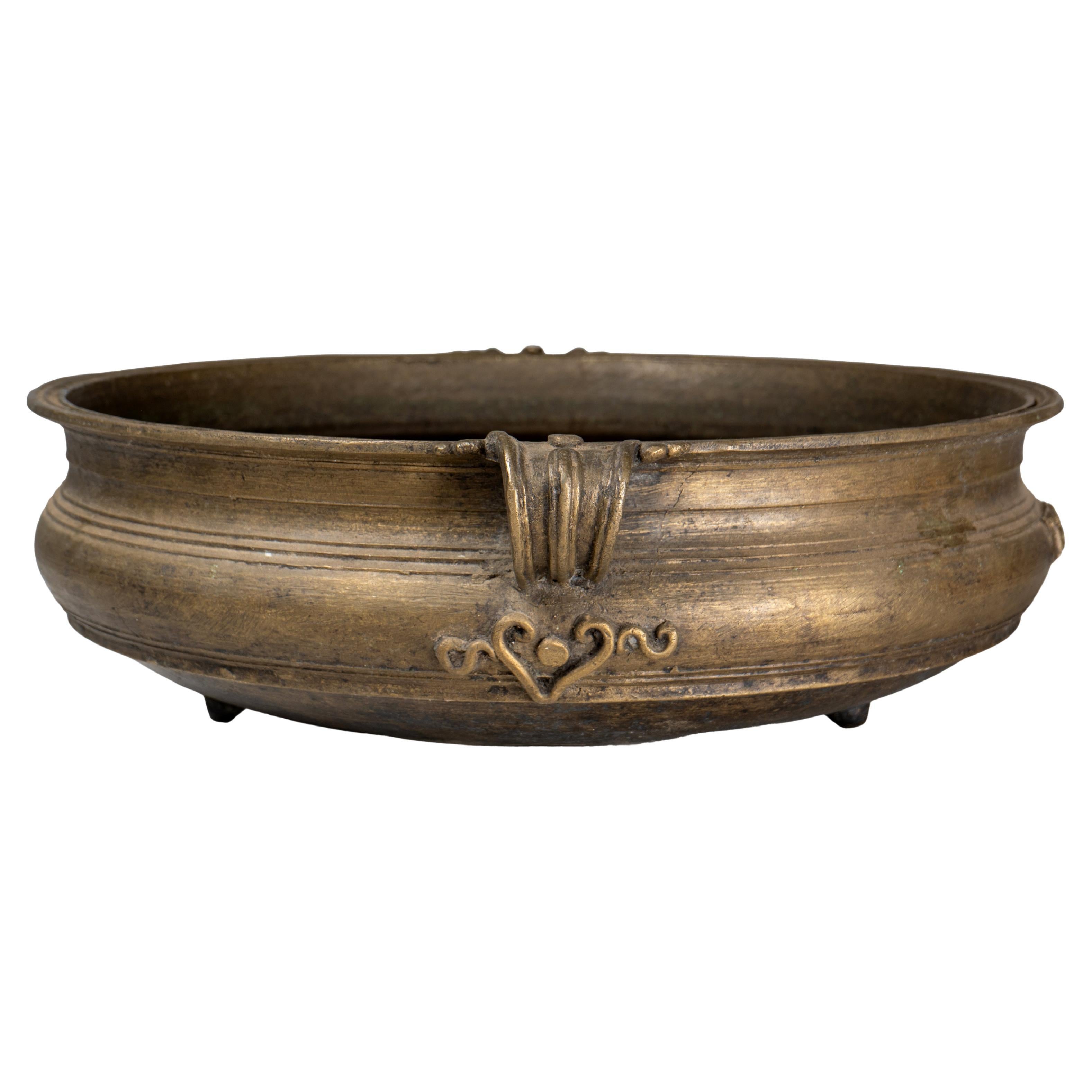 What to plant in shallow planters?