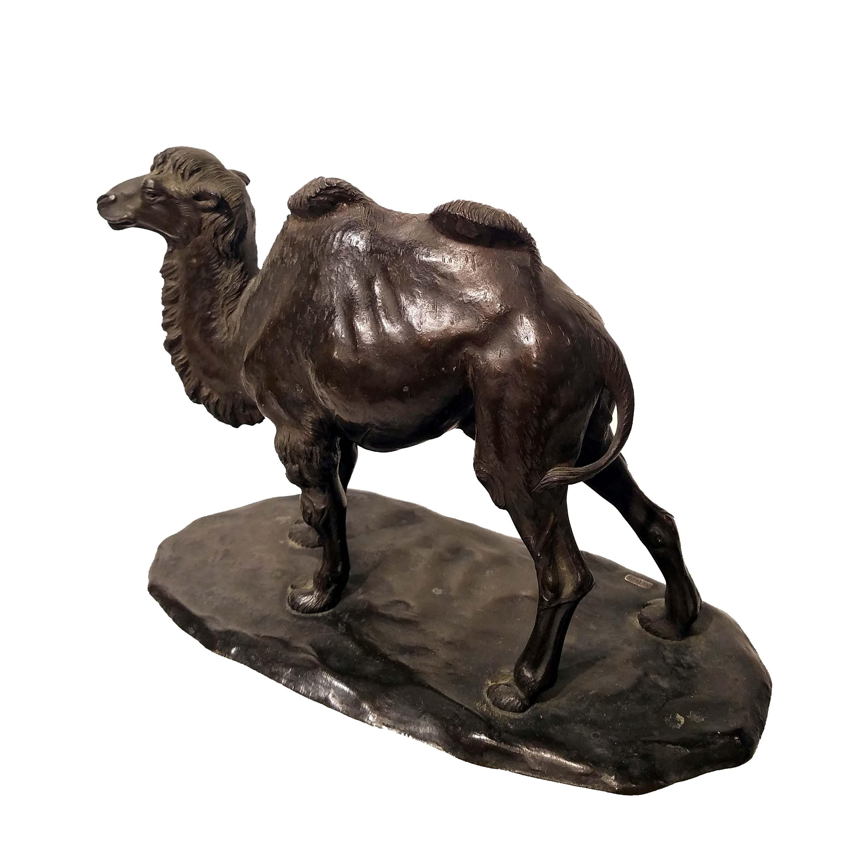Meiji Bronze Model of a Camel, Signed Watanabe, Japan, 19th Century For Sale