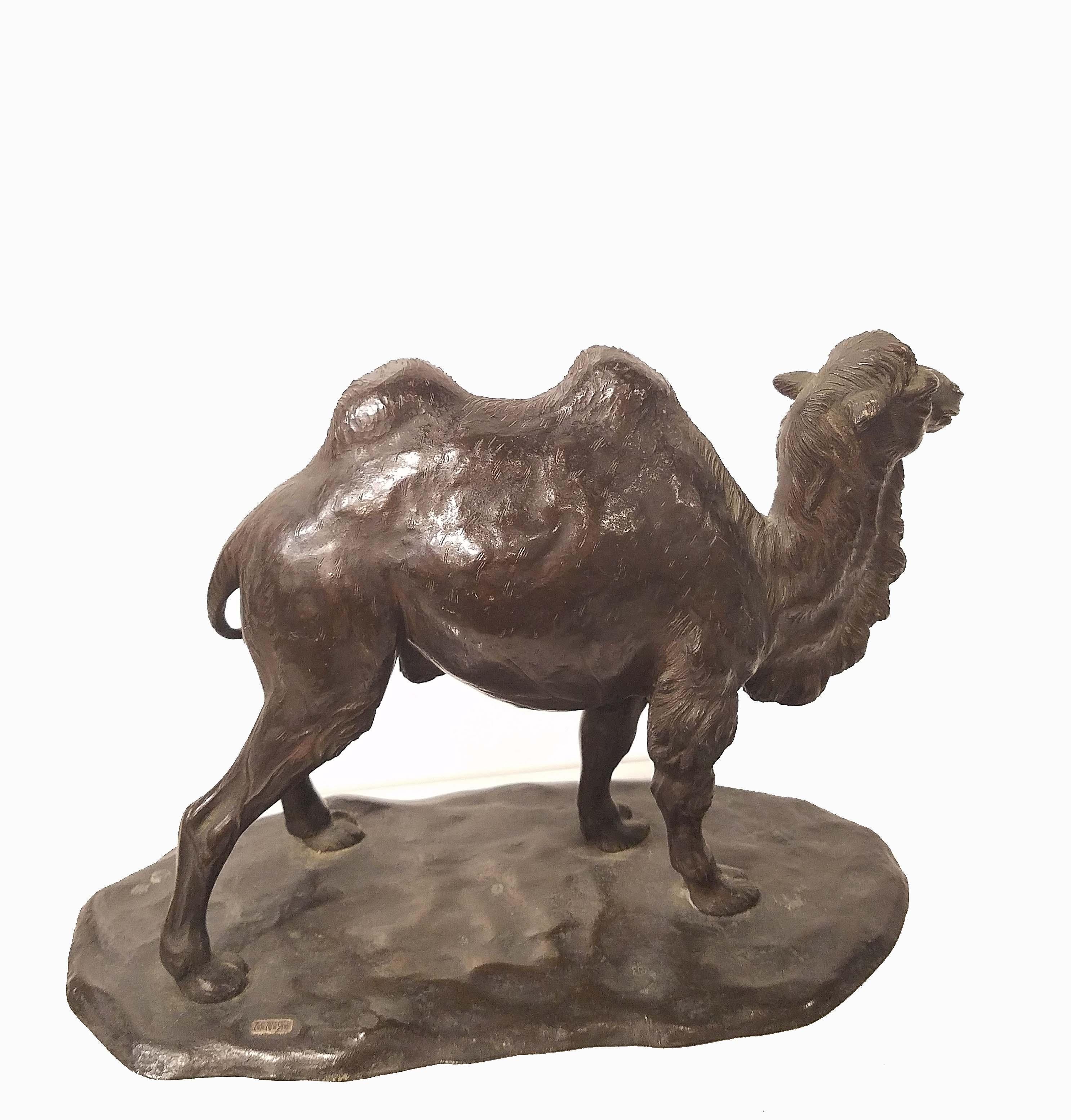 Patinated Bronze Model of a Camel, Signed Watanabe, Japan, 19th Century For Sale