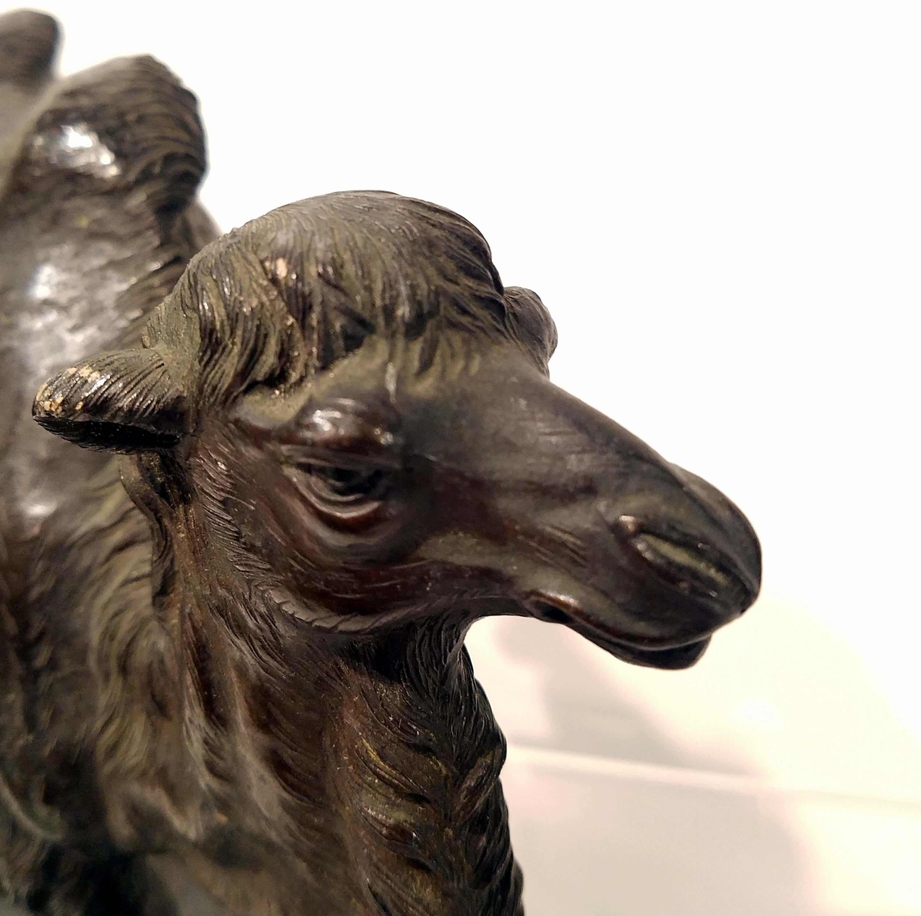 Bronze Model of a Camel, Signed Watanabe, Japan, 19th Century For Sale 2