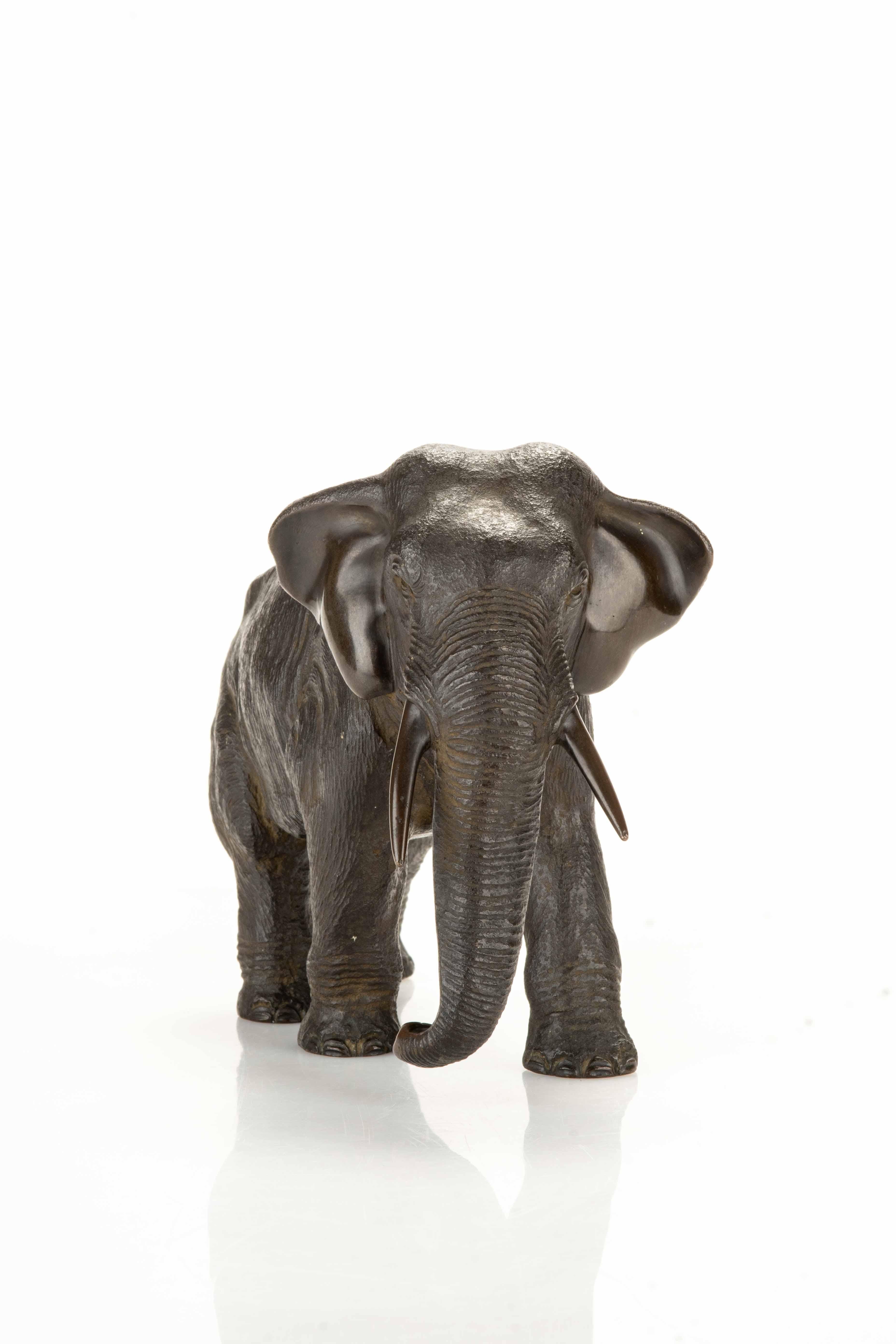 Bronze okimono depicting a walking elephant. Every part of the elephant's body, from legs to trunk, ears to eyes, is carved with impressive precision. 

Signature engraved under the Hideyoshi belly.

Period: Meiji late 19th cent.
Dimensions: 13.5 x