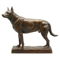 A bronze study of a standing German Shepard by Amédéé Charles Loyseau 1867-1935