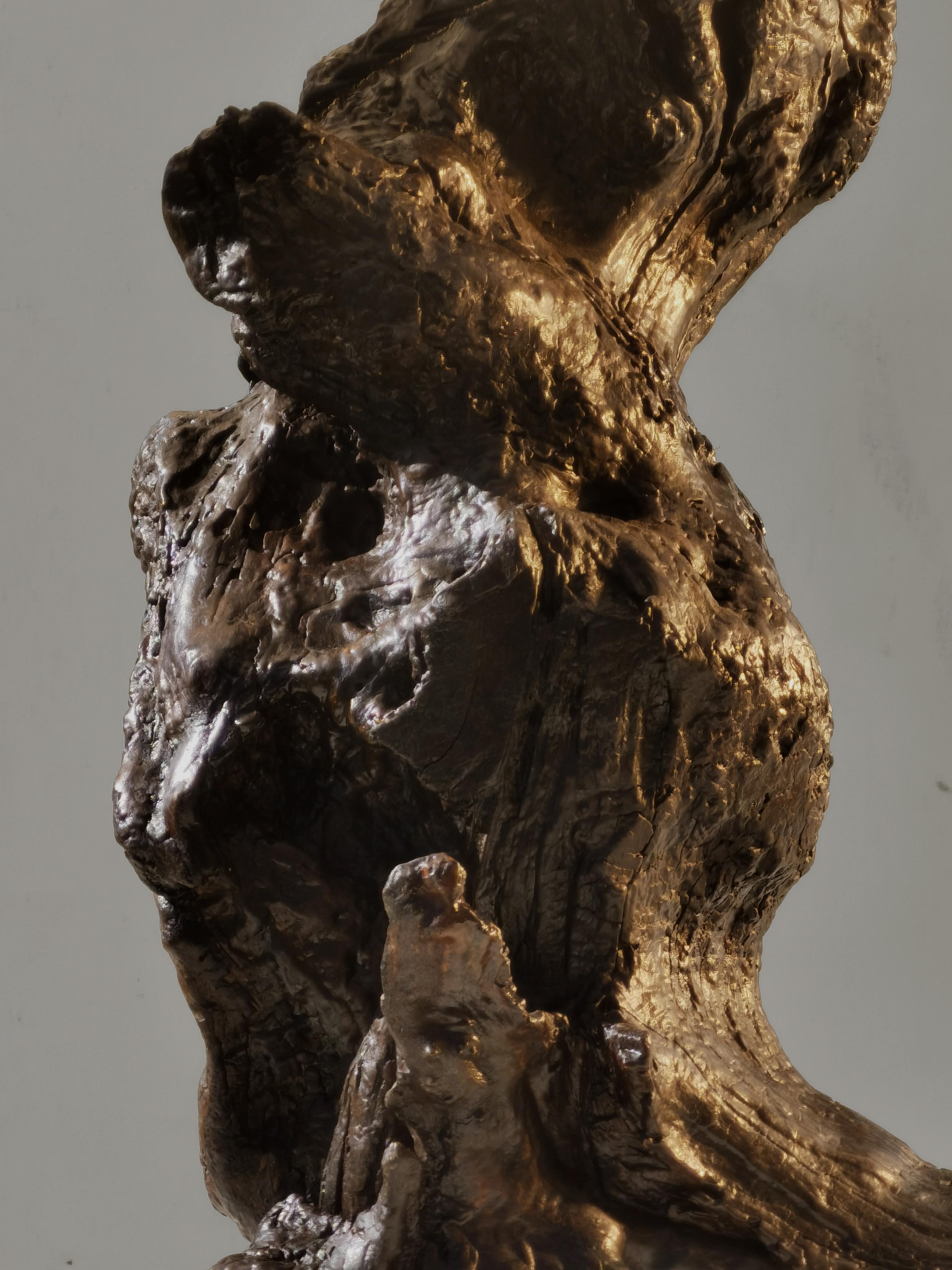 A BRUTALIST Wild Wood RUSTIC MODERN TABLE LAMP, France 1960 For Sale 10
