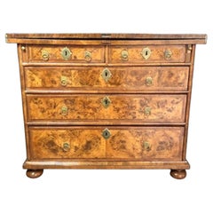 Burr Walnut and Feather Banded Bachelor Chest