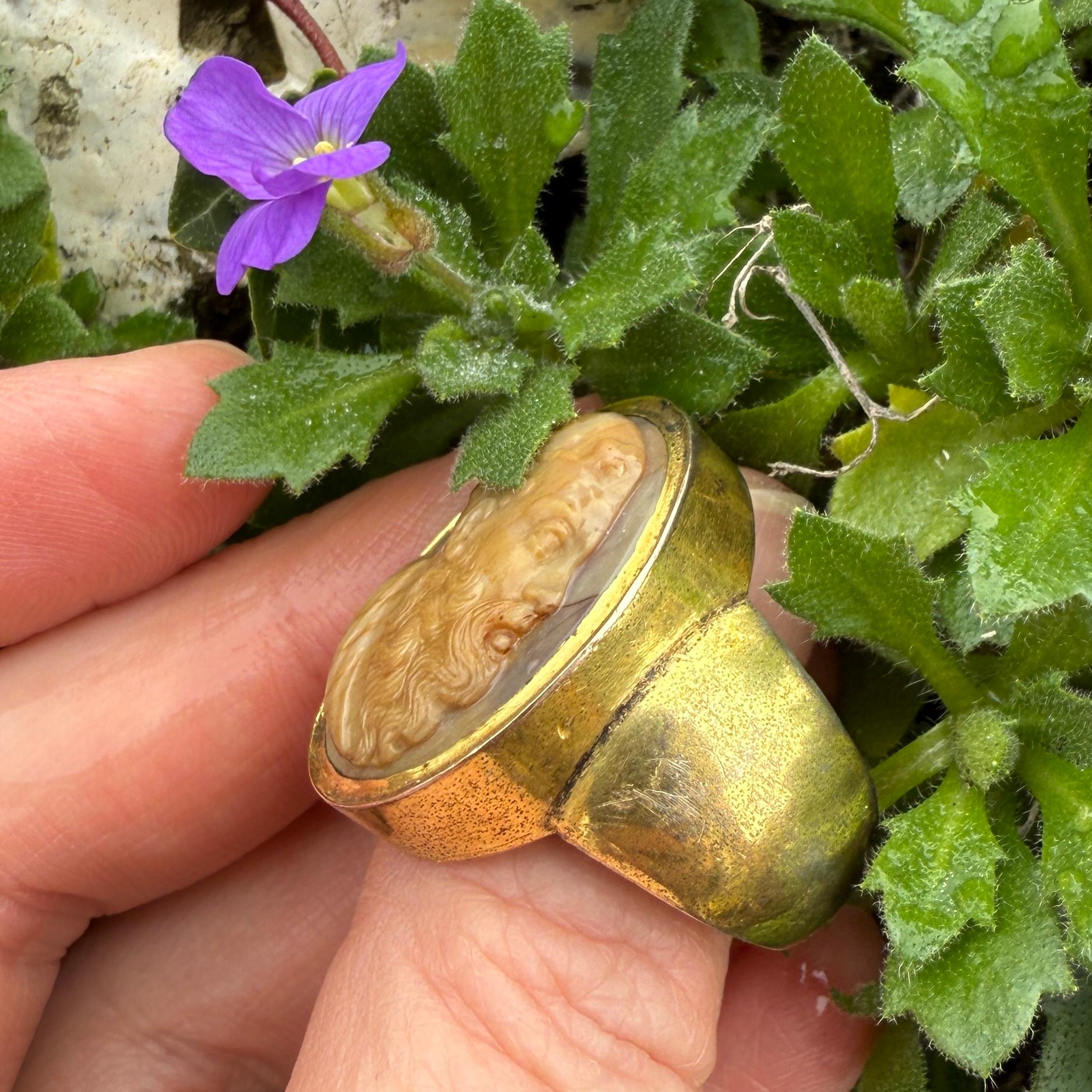 Ein Kameenring mit der Darstellung von Bacchus.  Italien oder England, um 1800-1820. im Angebot 3