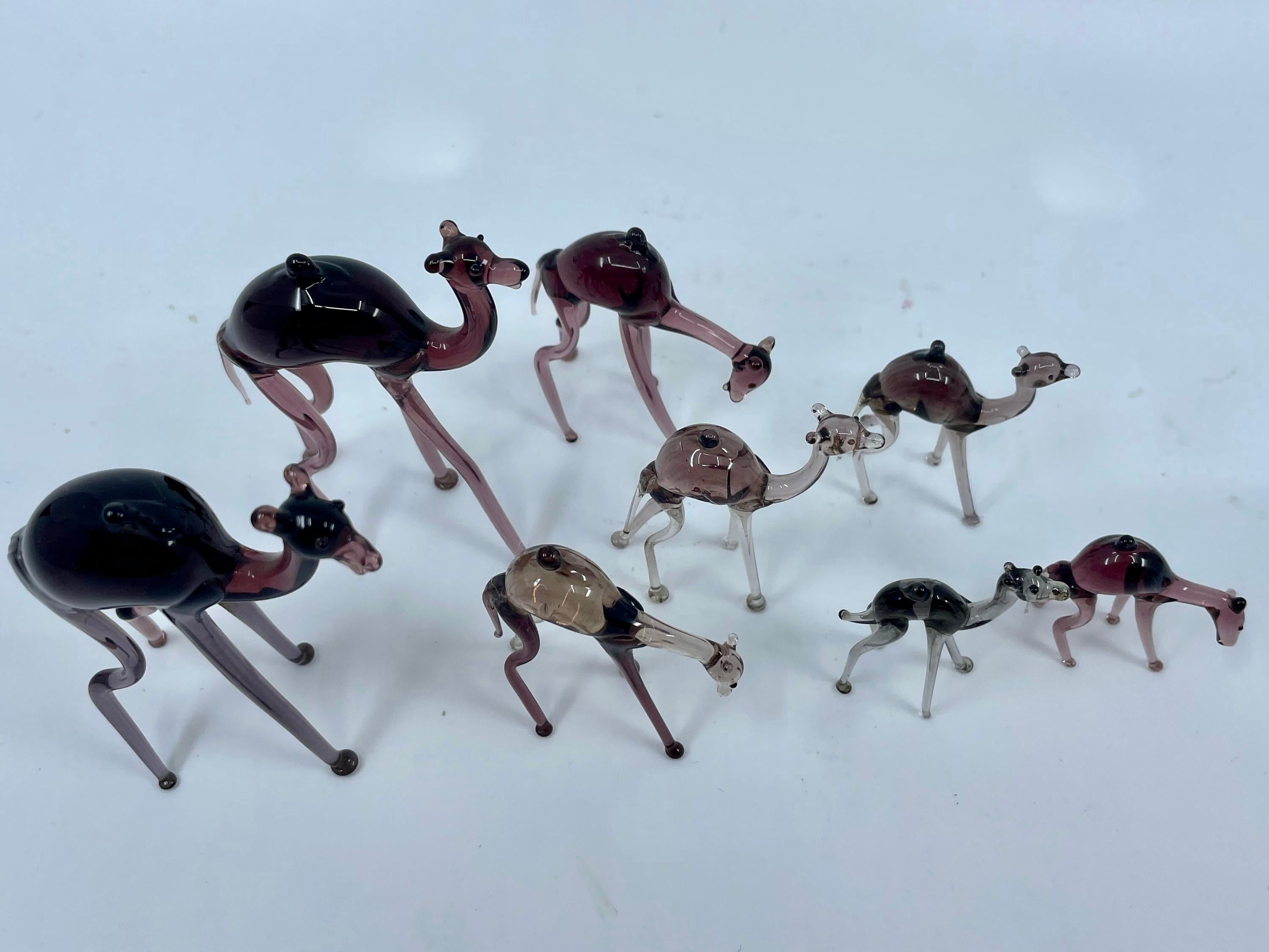 A caravan of eight amethyst camels.  An elegant display of dromedary caravan of amethyst camels from Venice ranging in size and color from amethyst to smokey grey. Italy, 1940's
Dimensions:
Largest 2.25