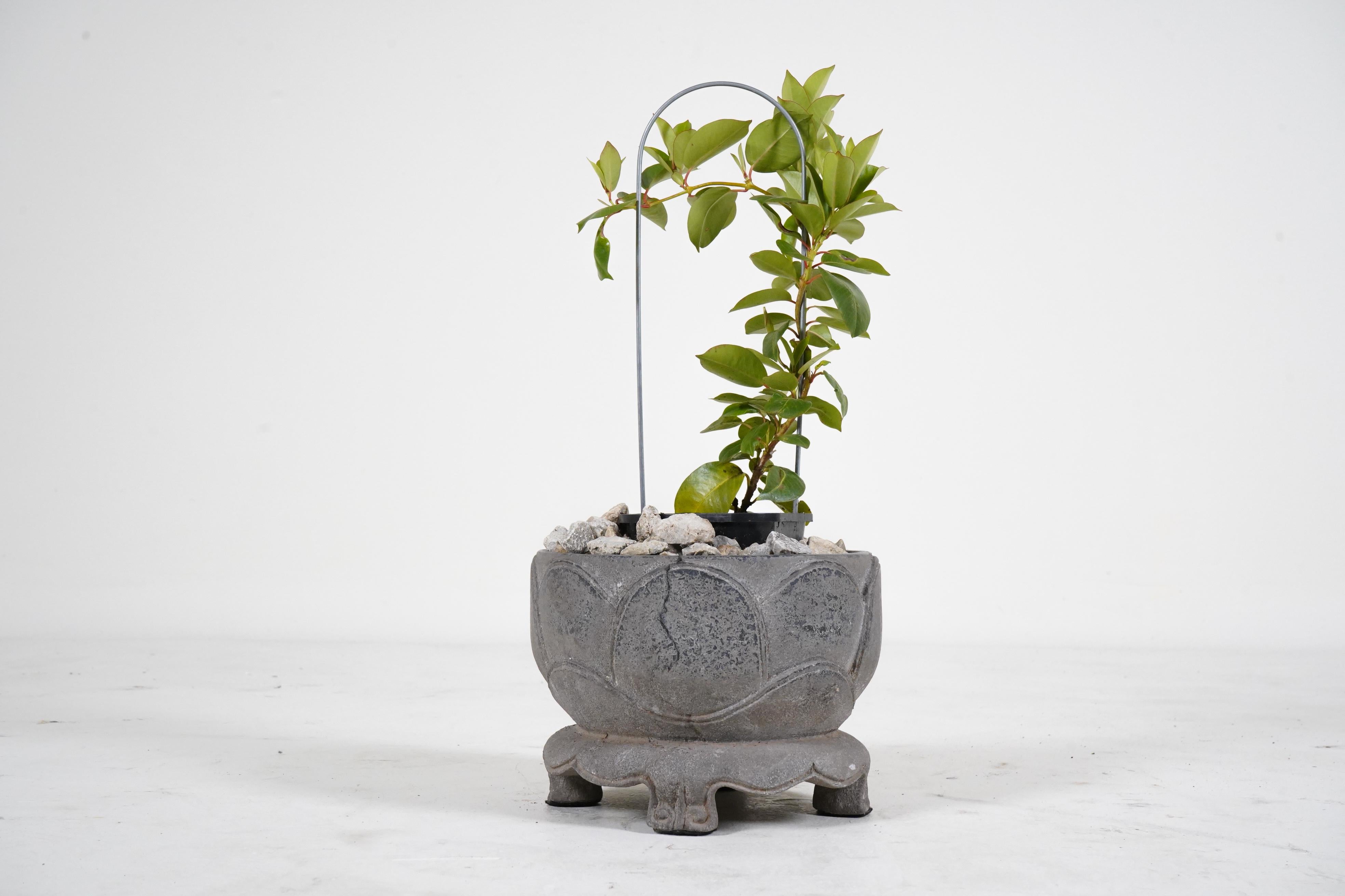 A Carved limestone Lotus Flower Pot In Good Condition In Chicago, IL