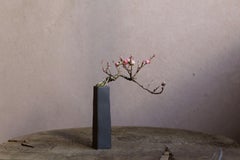 Un bonsaï de prunier rouge en cascade par Yumiko Kuwahata / Bonsaïs / wabi-sabi