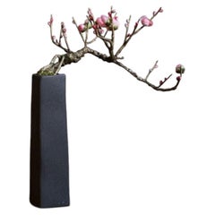 Un bonsaï de prunier rouge en cascade par Yumiko Kuwahata / Bonsaïs / wabi-sabi
