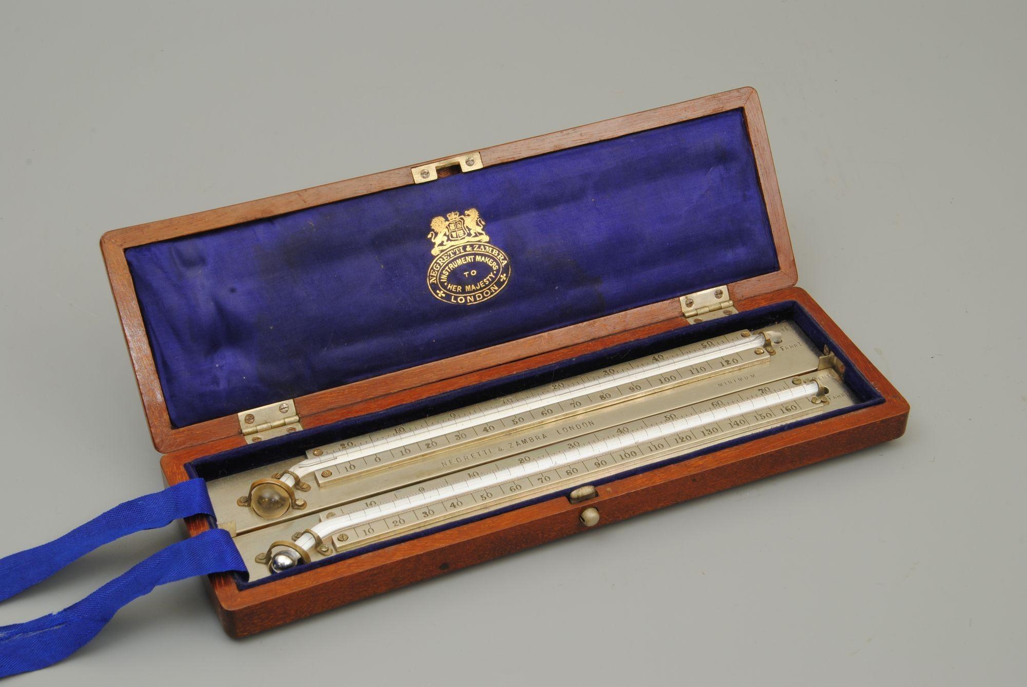 19th Century Cased Pair of Max and Minimum Temperature Thermometers For Sale