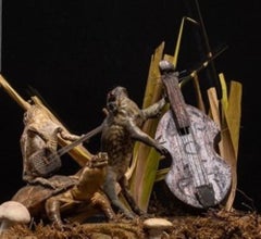 A cased taxidermy display of Toad and Frog orchestra playing stringed instrument