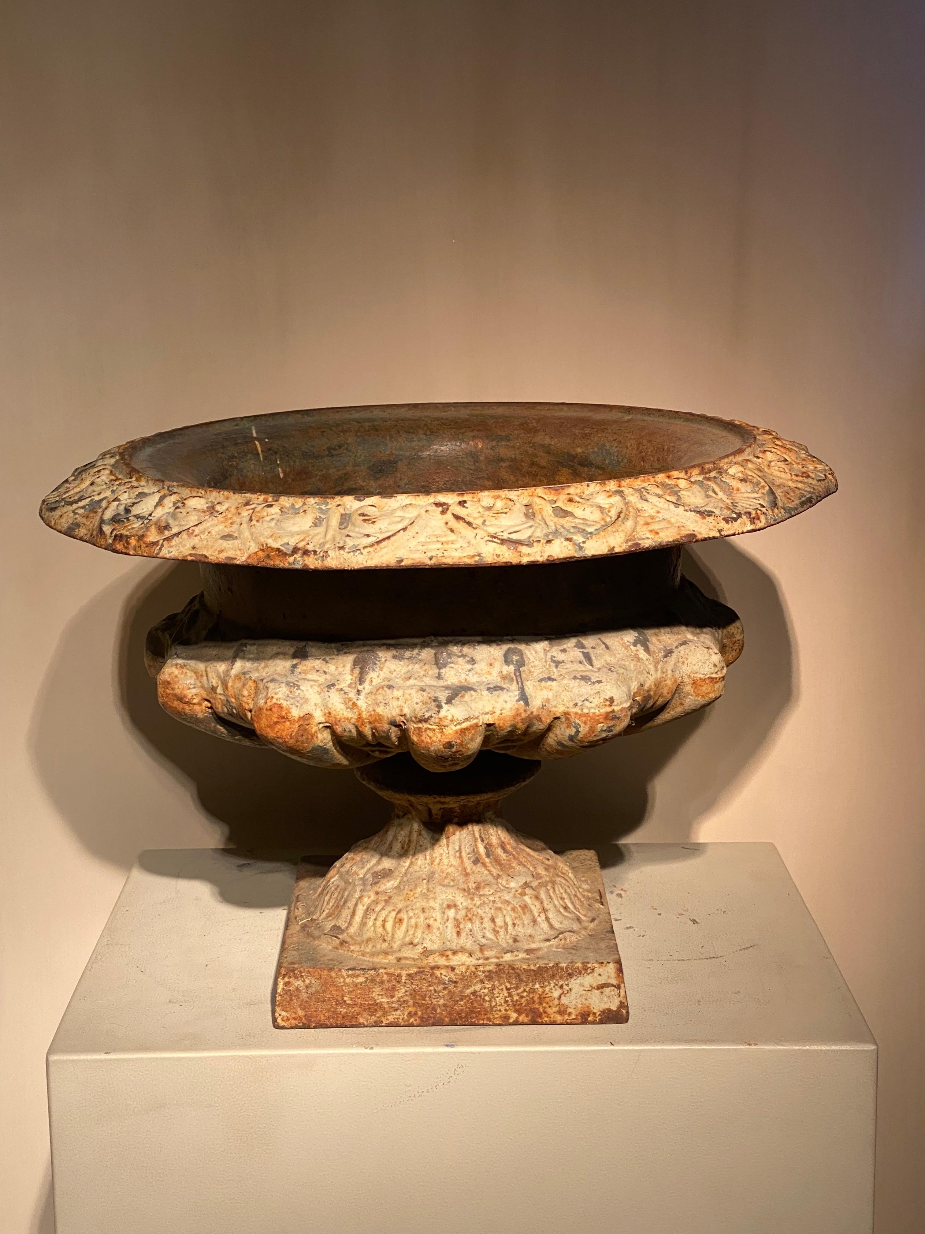 Bellissima fioriera da giardino francese in stile mediceo,
degli anni '60,
grande patina e usura del colore crema patinato,
Sono presenti tracce di ruggine,
oggetto molto decorativo da usare sia all'interno che all'esterno