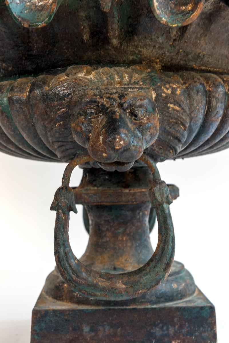 Cast Iron Jardiniere with Lion Head Handles  3