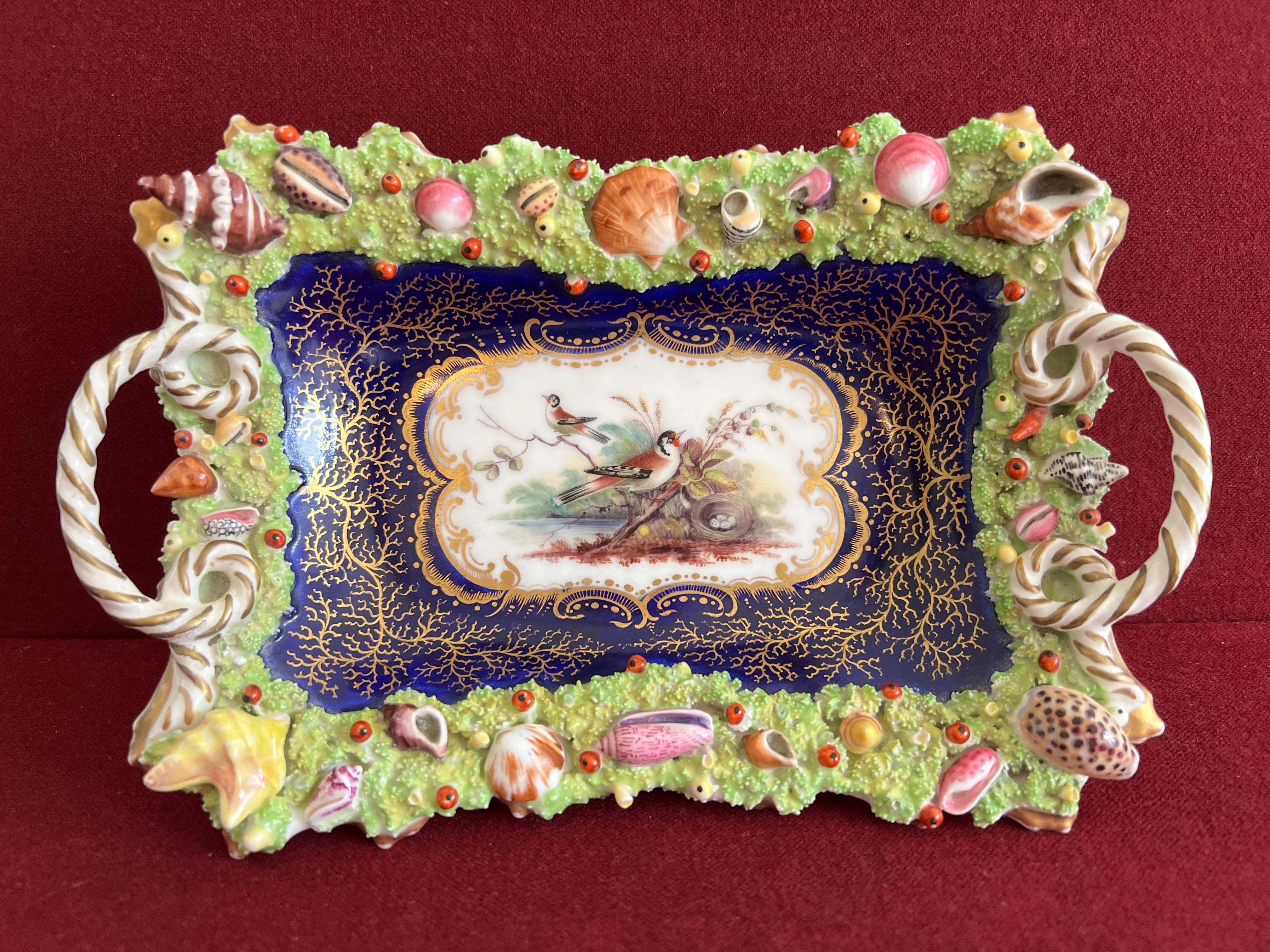 Panier en porcelaine de Chamberlain Worcester superbement fabriqué et décoré vers 1840. Incrustée de coquillages, d'algues et de coraux joliment modelés. Le centre du plateau est superbement peint avec un pinson et un nid dans un paysage. La bordure