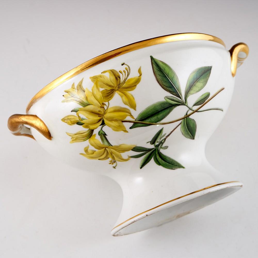 A Chamberlains Worcester Porcelain'Botanical' Sauce Tureen & Cover, circa 1805 For Sale 4