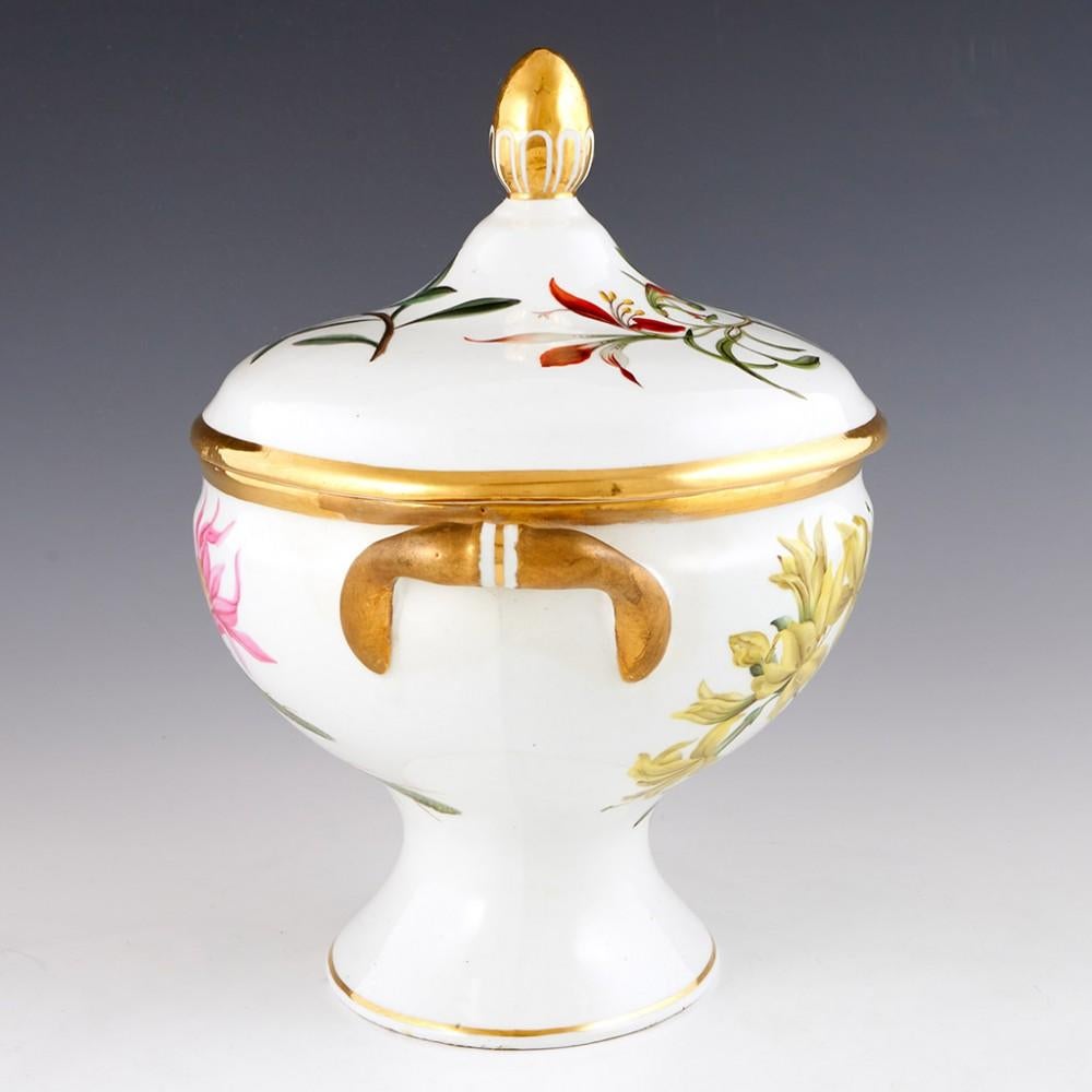 George III A Chamberlains Worcester Porcelain'Botanical' Sauce Tureen & Cover, circa 1805 For Sale