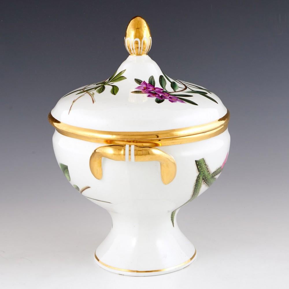 English A Chamberlains Worcester Porcelain'Botanical' Sauce Tureen & Cover, circa 1805 For Sale