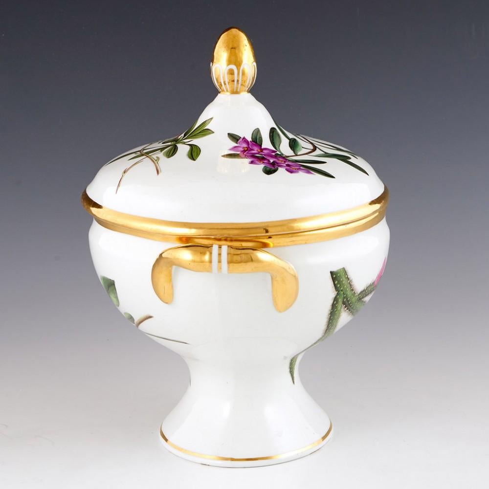 English A Chamberlains Worcester Porcelain'Botanical' Sauce Tureen & Cover, circa 1805