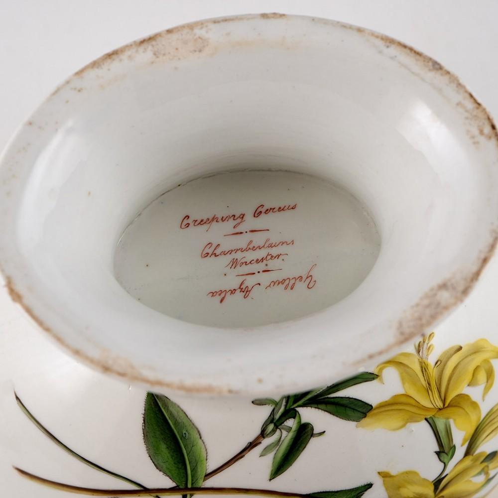 A Chamberlains Worcester Porcelain'Botanical' Sauce Tureen & Cover, circa 1805 2