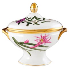 A Chamberlains Worcester Porcelain'Botanical' Sauce Tureen & Cover, circa 1805