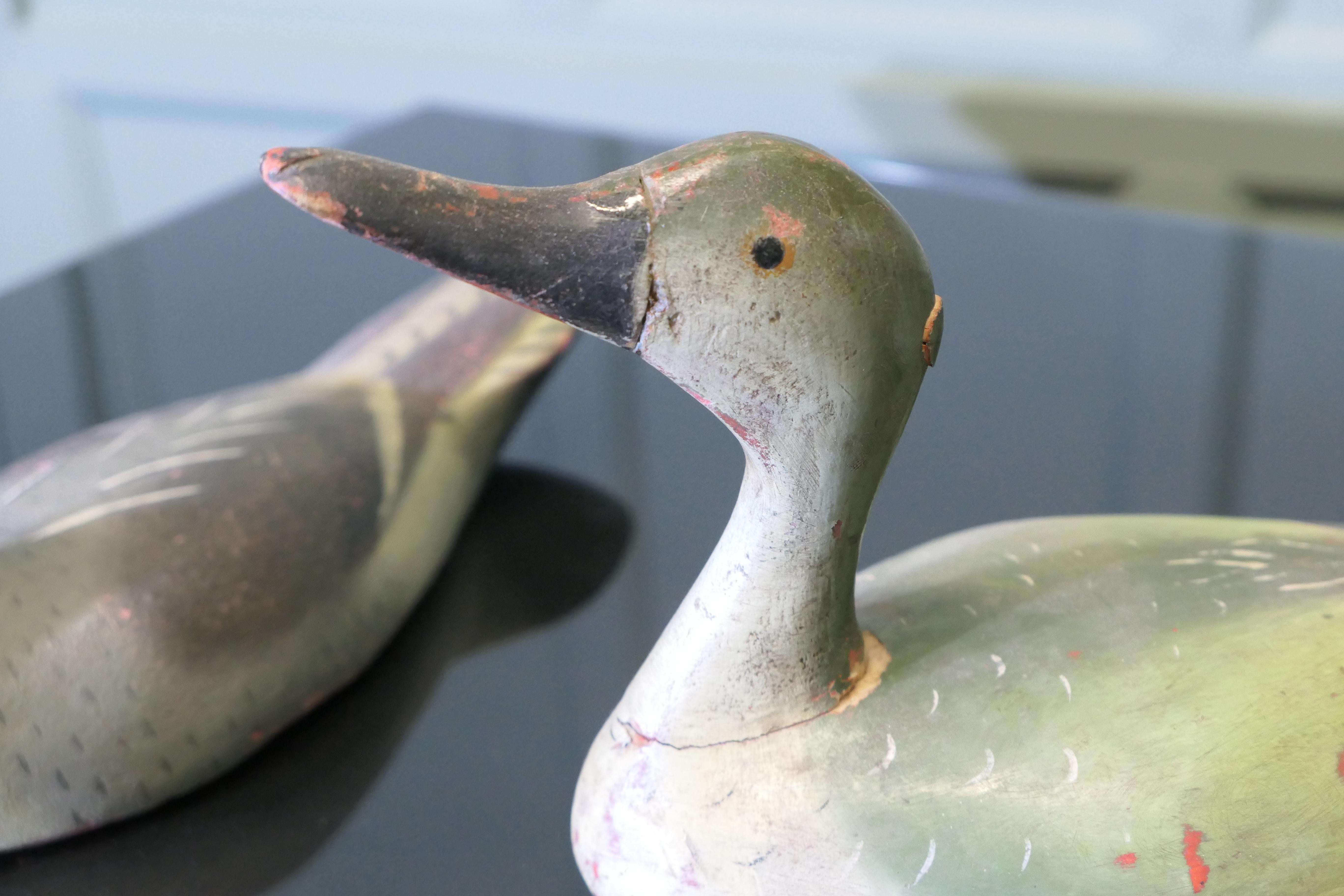 Arte popolare A Charming Collection of Painted and Carved  Decoy Ducks in vendita