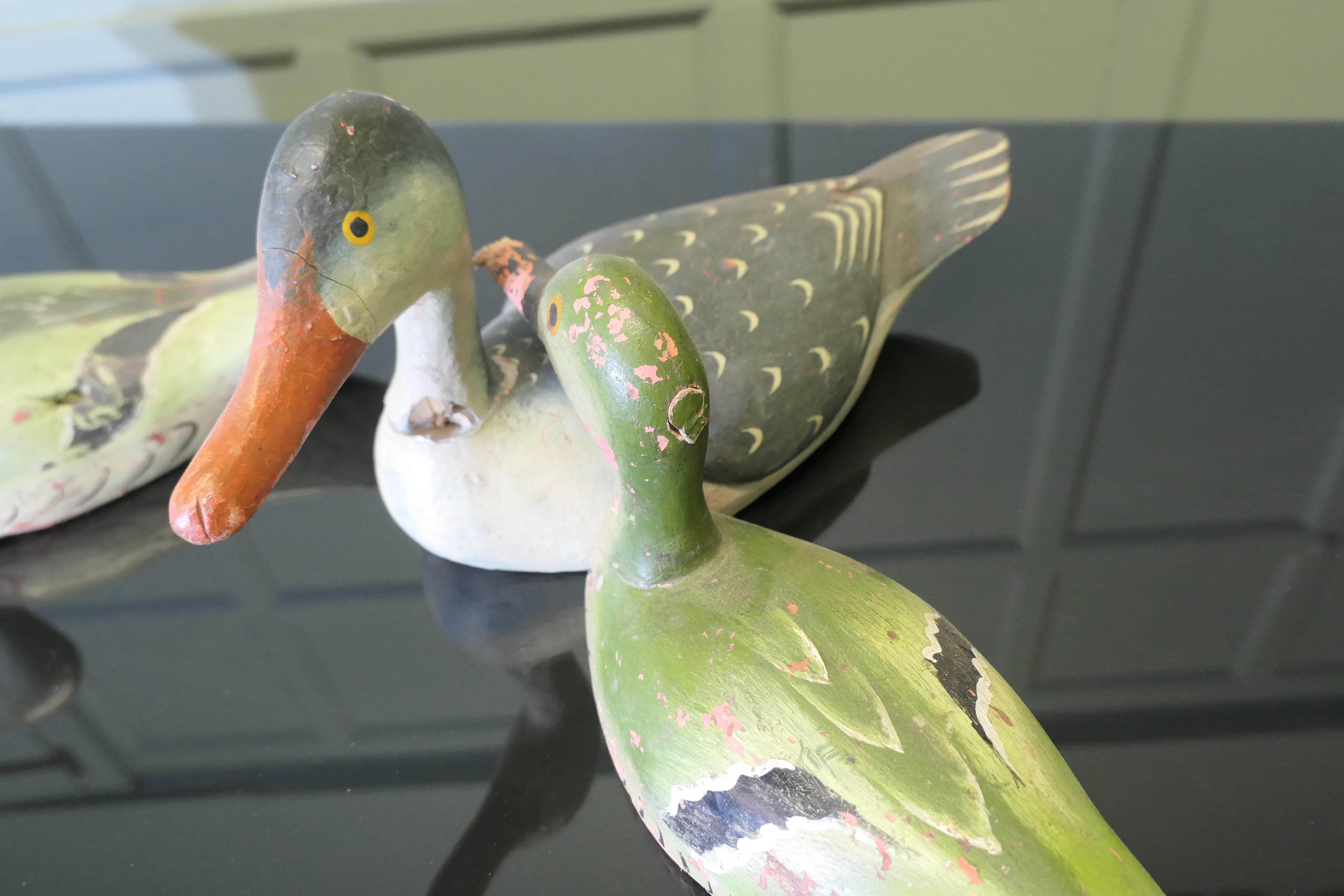 XIX secolo A Charming Collection of Painted and Carved  Decoy Ducks in vendita