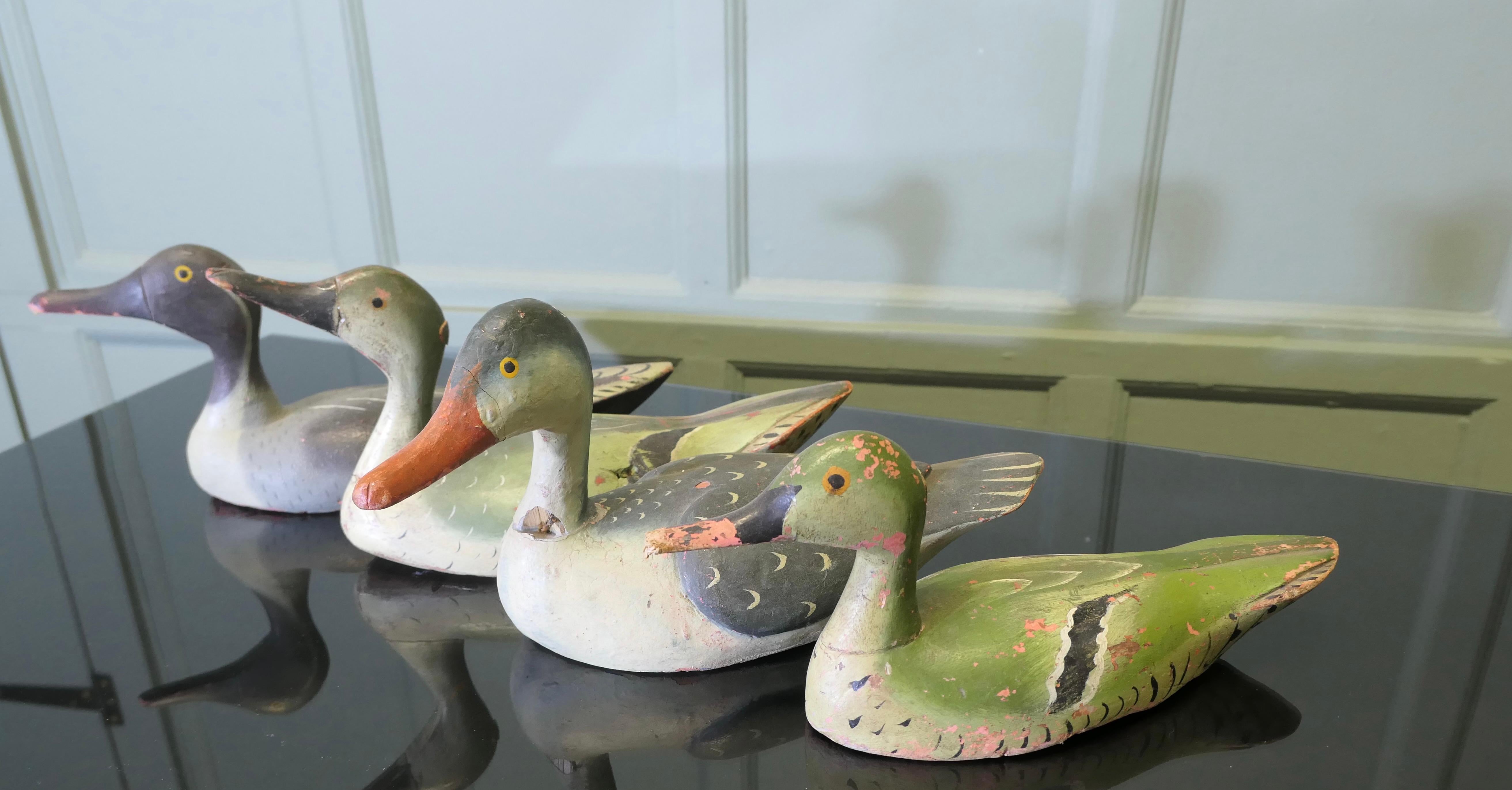Pino A Charming Collection of Painted and Carved  Decoy Ducks in vendita