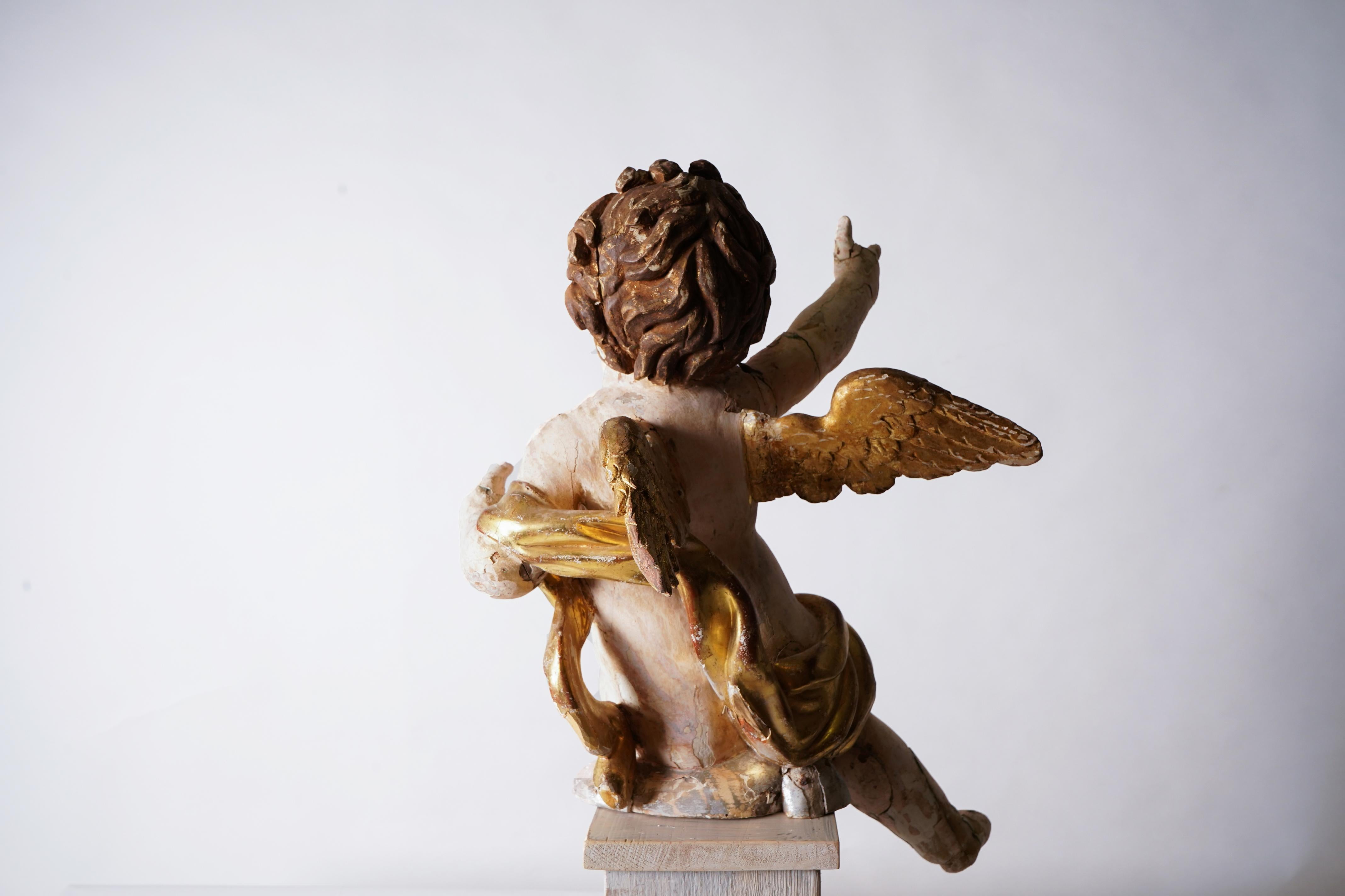 Sculpté à la main chérubin sculpté dans du bois polychrome et doré en vente