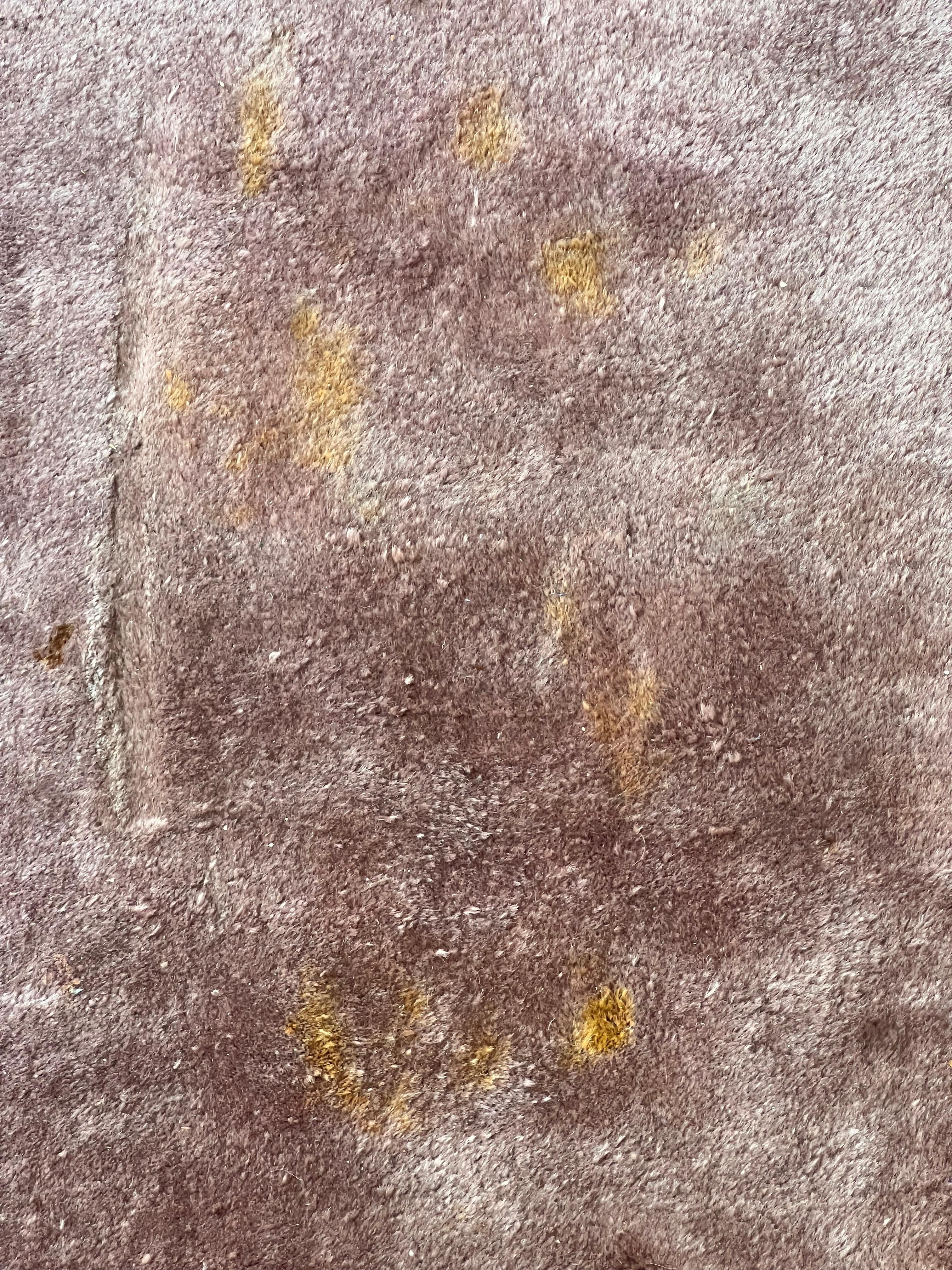 Alfombra china Art Decó, principios del siglo XX en venta 7