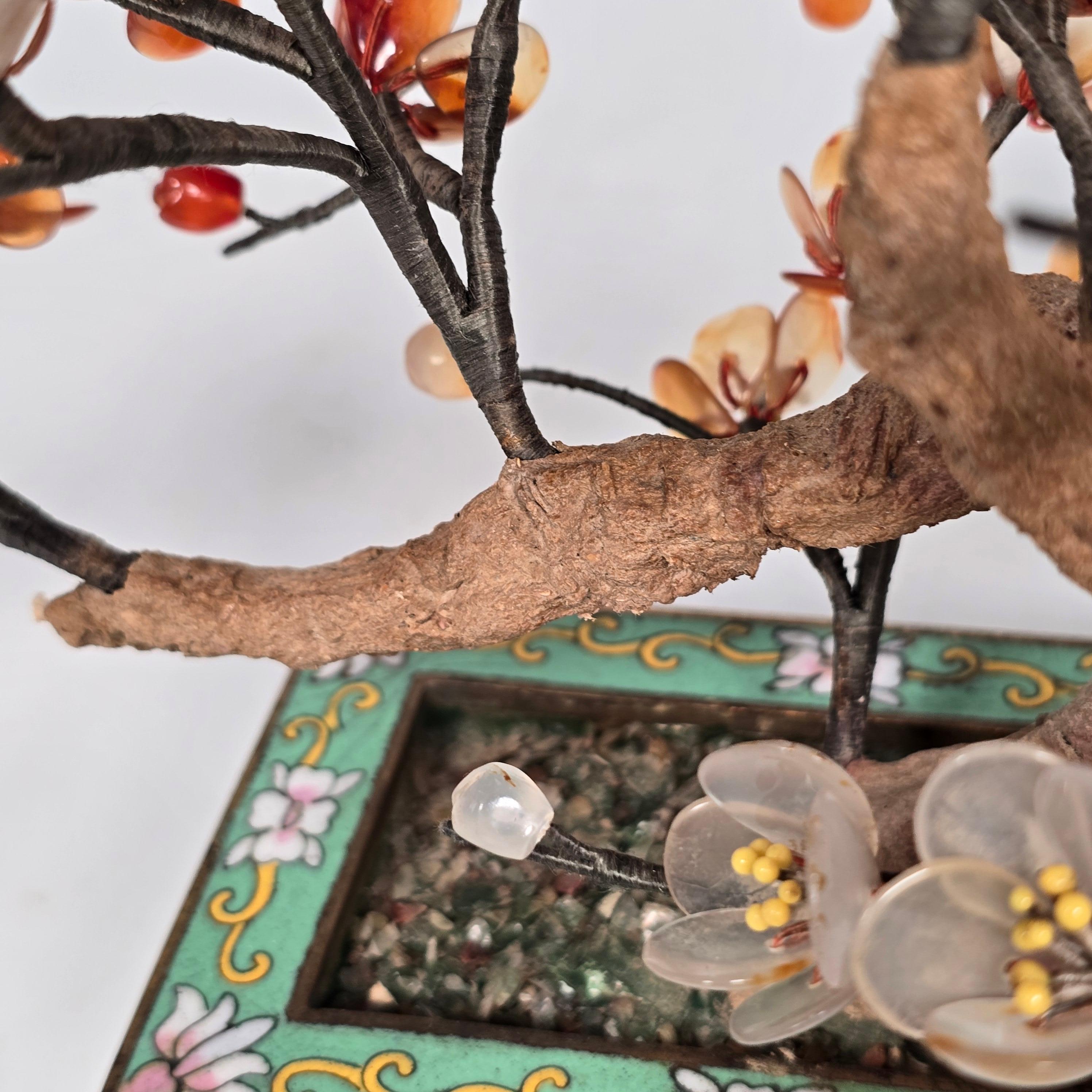 A  Bonsaï chinois en pierre dure cloisonnée et sculptée, Prunus circa 1920 en vente 3