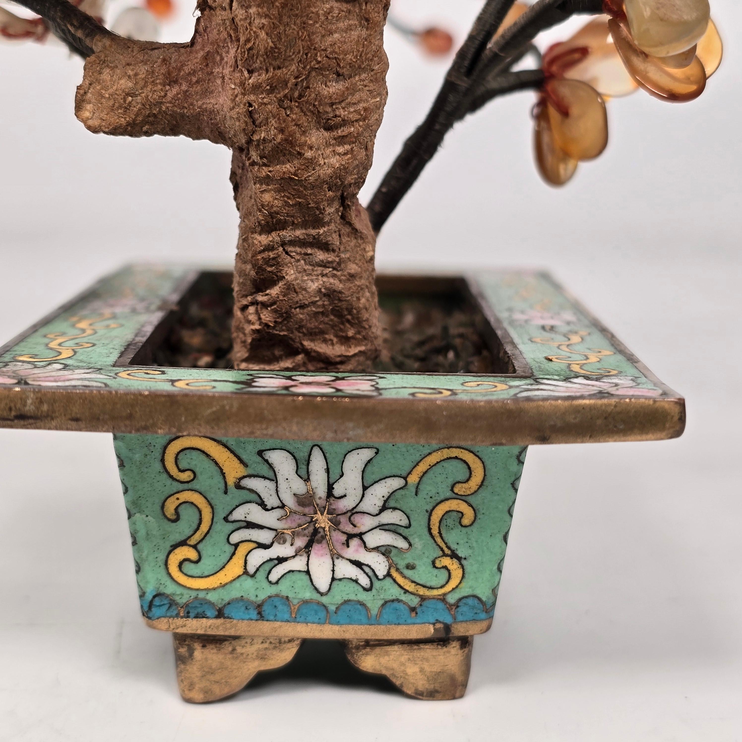 A  Bonsaï chinois en pierre dure cloisonnée et sculptée, Prunus circa 1920 en vente 5