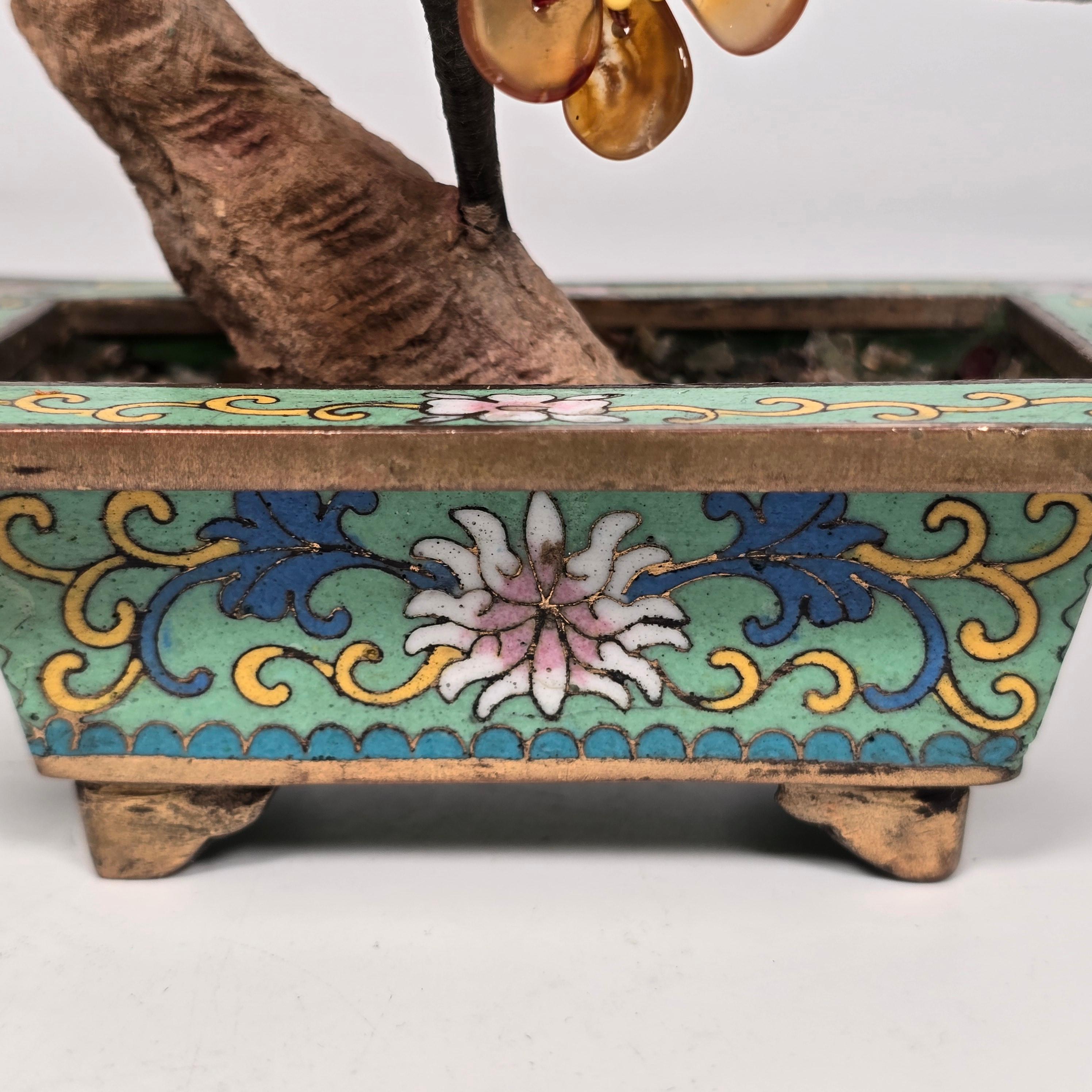 A  Bonsaï chinois en pierre dure cloisonnée et sculptée, Prunus circa 1920 en vente 6