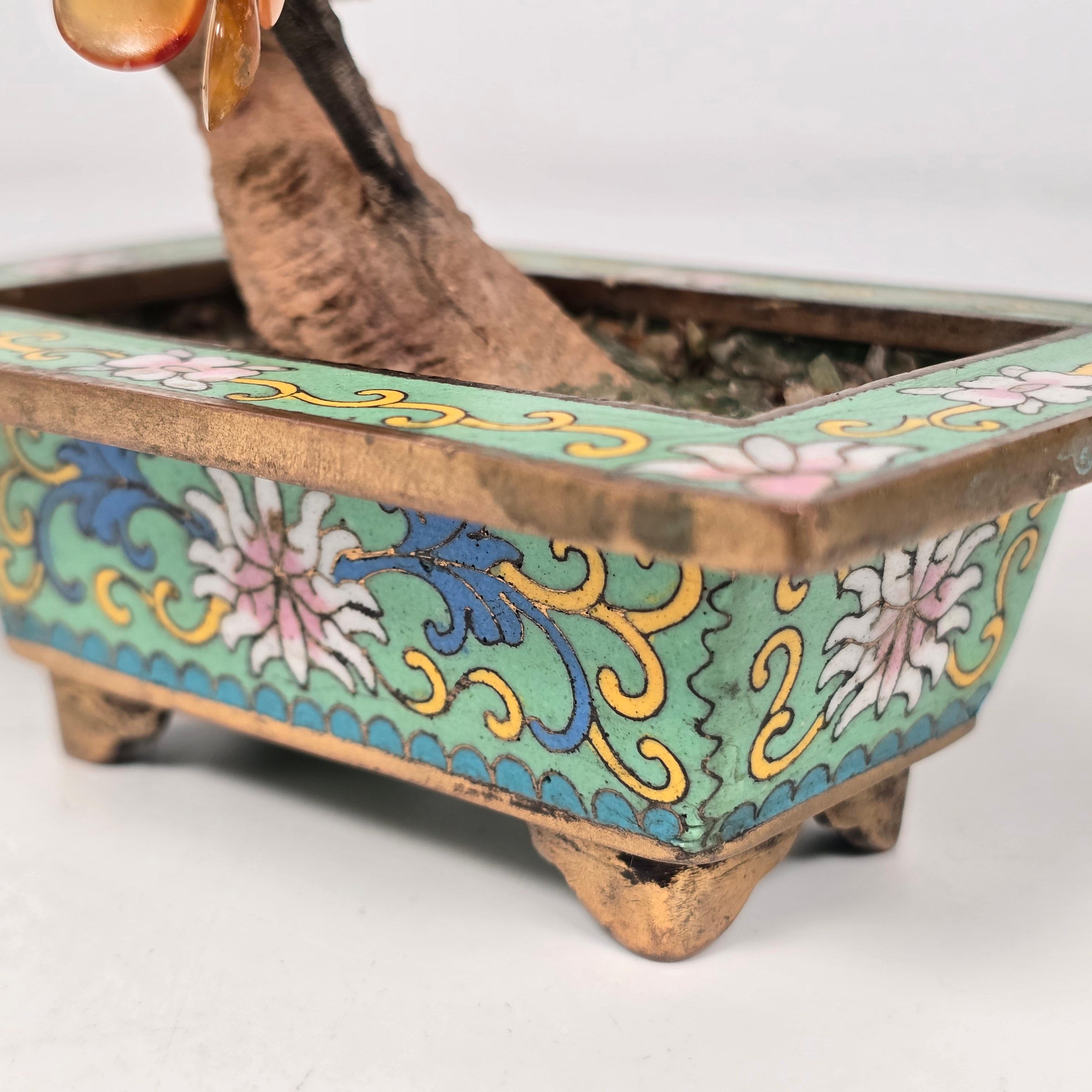 A  Bonsaï chinois en pierre dure cloisonnée et sculptée, Prunus circa 1920 en vente 7