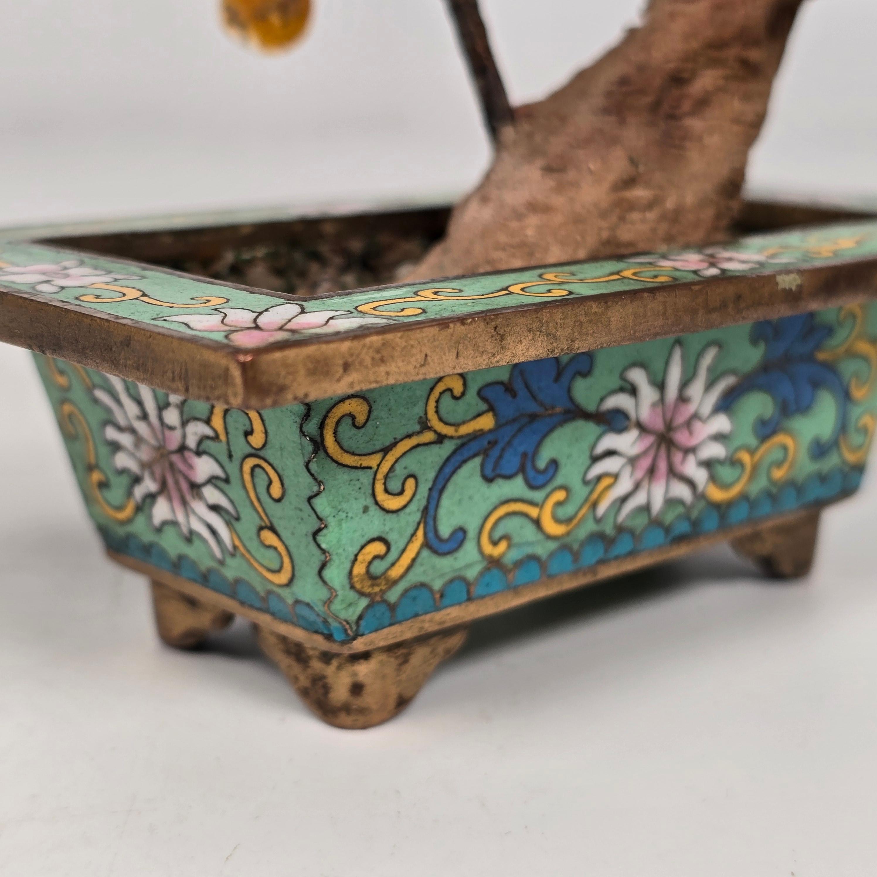 A  Bonsaï chinois en pierre dure cloisonnée et sculptée, Prunus circa 1920 en vente 8
