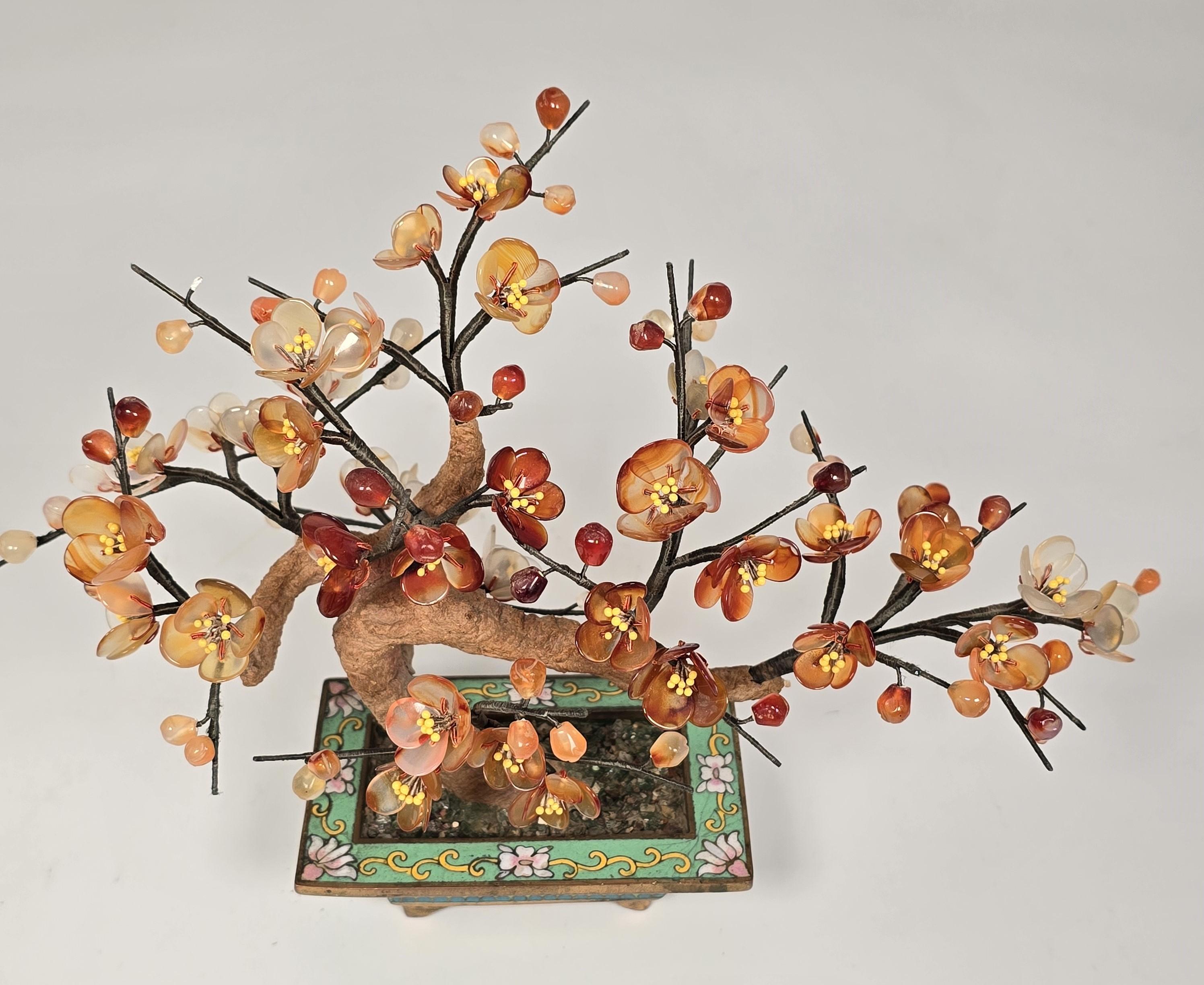 Ce petit arbre ressemblant à un bijou est chinois et date d'environ 1920.
Il représente un bonsaï de Prunus en fleurs.

L'arbre est présenté dans une jardinière rectangulaire peu profonde en laiton doré et décorée d'émaux cloisonnés dans un mélange