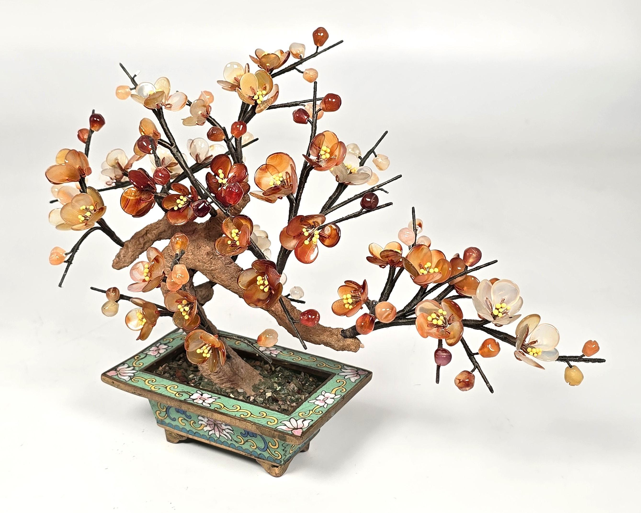 Exportation chinoise A  Bonsaï chinois en pierre dure cloisonnée et sculptée, Prunus circa 1920 en vente