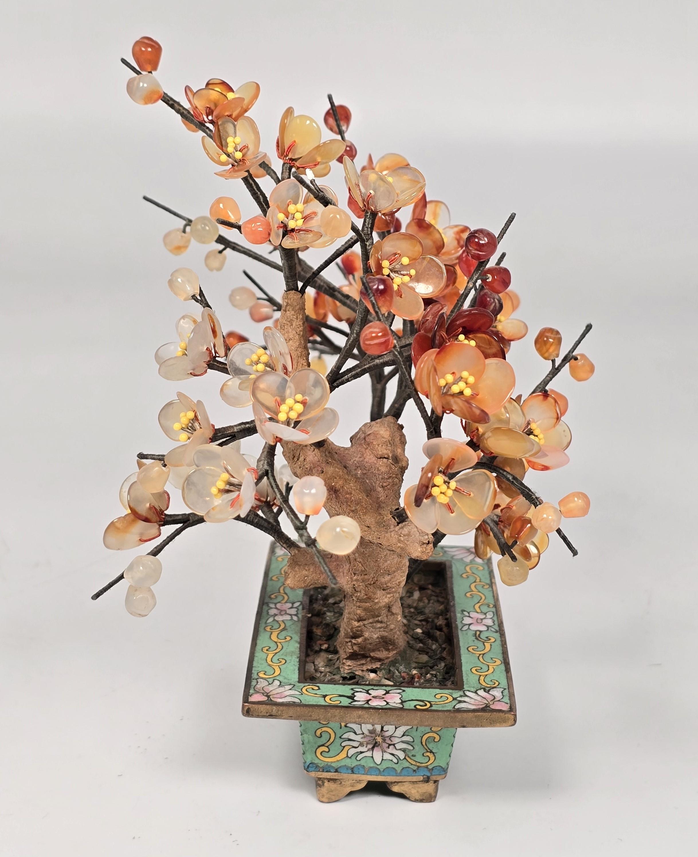 Chinois A  Bonsaï chinois en pierre dure cloisonnée et sculptée, Prunus circa 1920 en vente