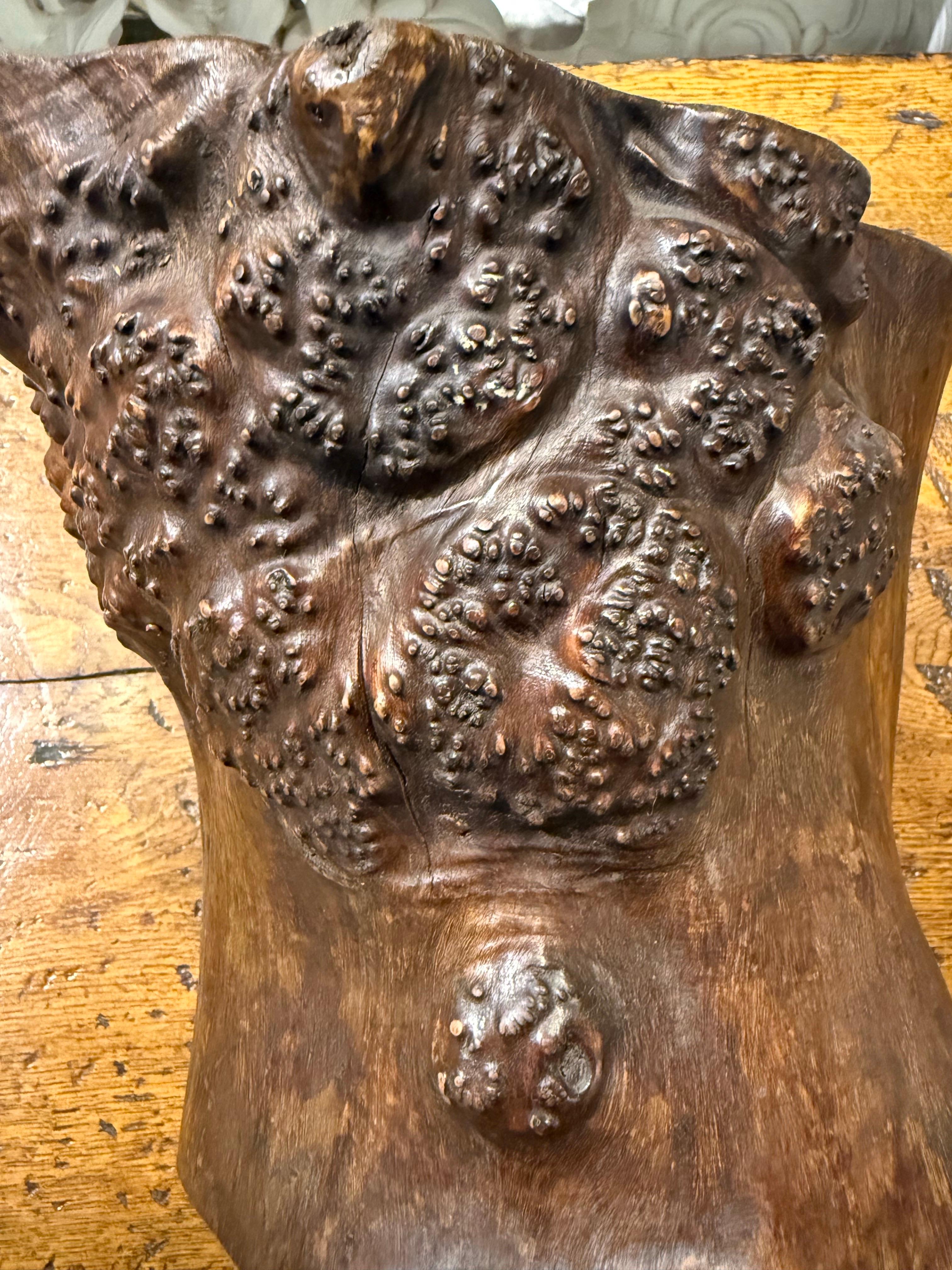 A Chinese Hardwood Gnarled Root Brush Pot, Late 19th Century In Good Condition For Sale In ARMADALE, VIC