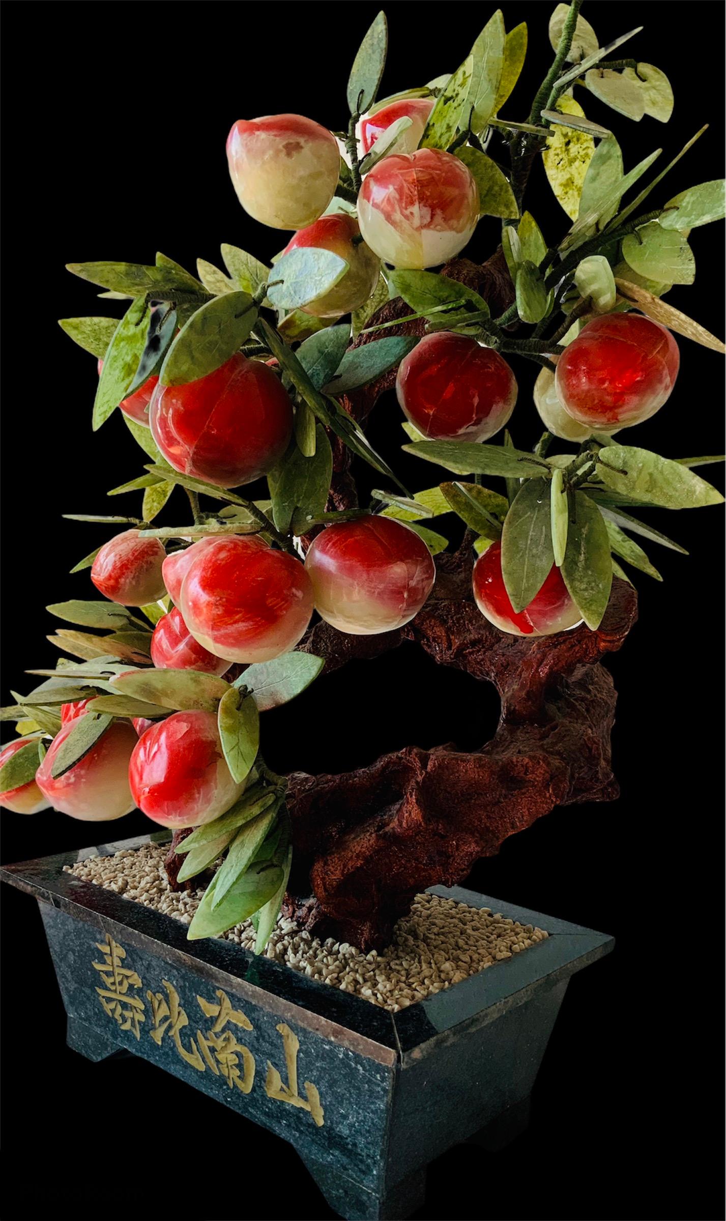 bonsai peach tree