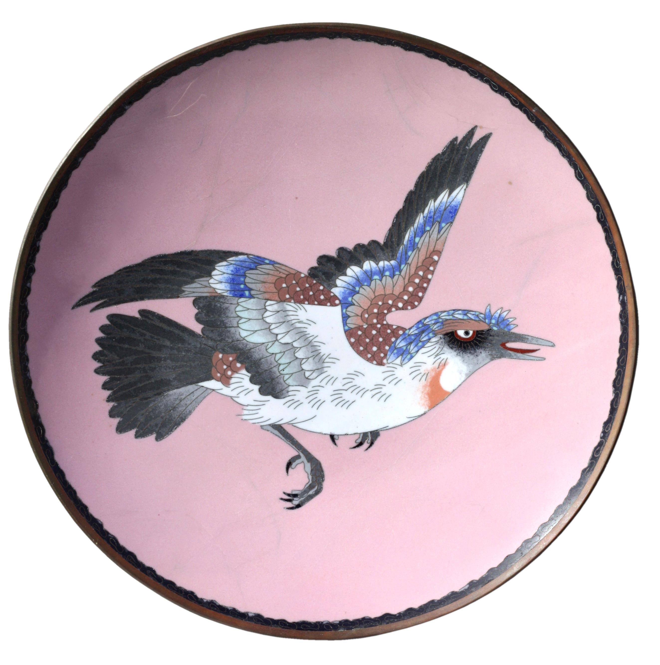 Ceramic  A Cloisonné Dish Meiji period (1868-1912)  For Sale