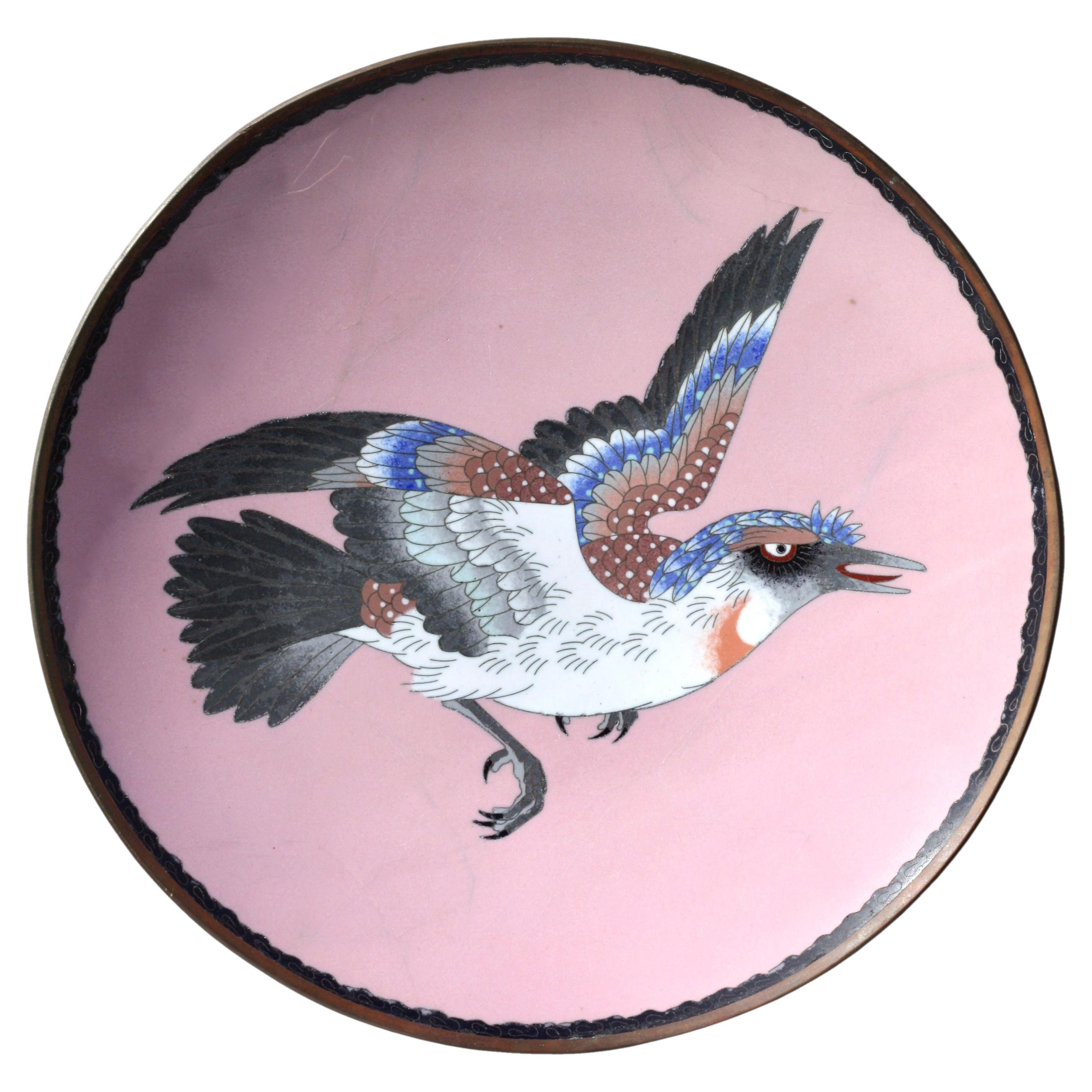  A Cloisonné Dish Meiji period (1868-1912)  For Sale