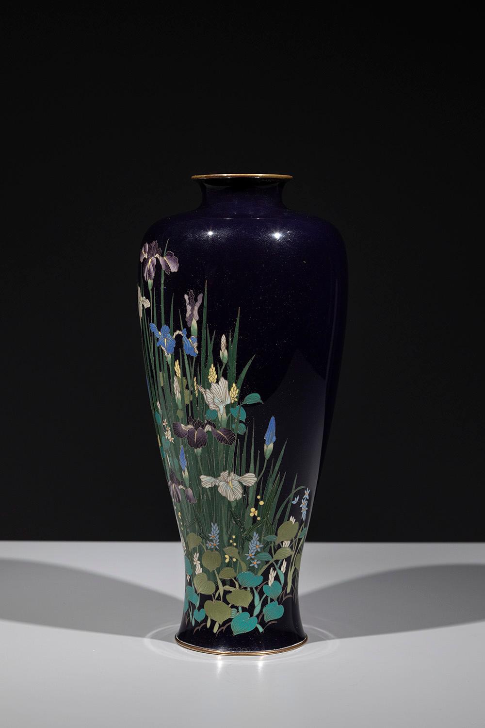 A cloisonné vase in polychrome enamels and silver wires, of slender form, decorated with a dense composition of aquatic flowers and irises.

The irises rise gracefully among the green leaves stretching upward. At the base, small lotus leaves can be
