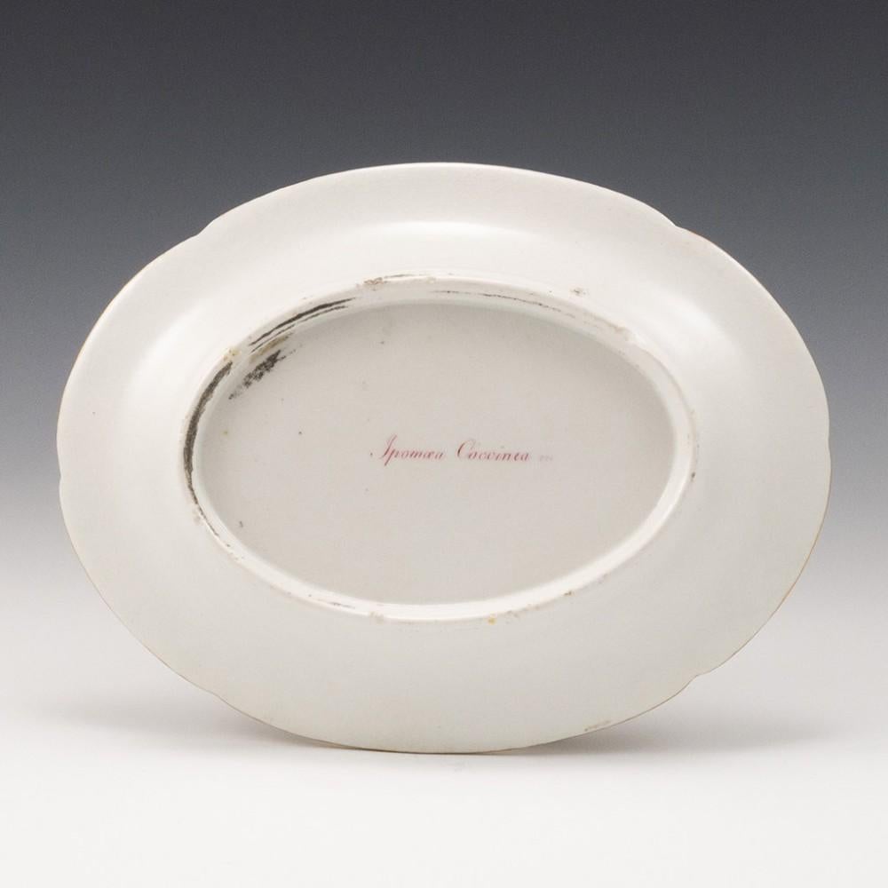 Coalport Porcelain Dessertterrine mit Deckel und Ständer, 1805-10 im Angebot 6