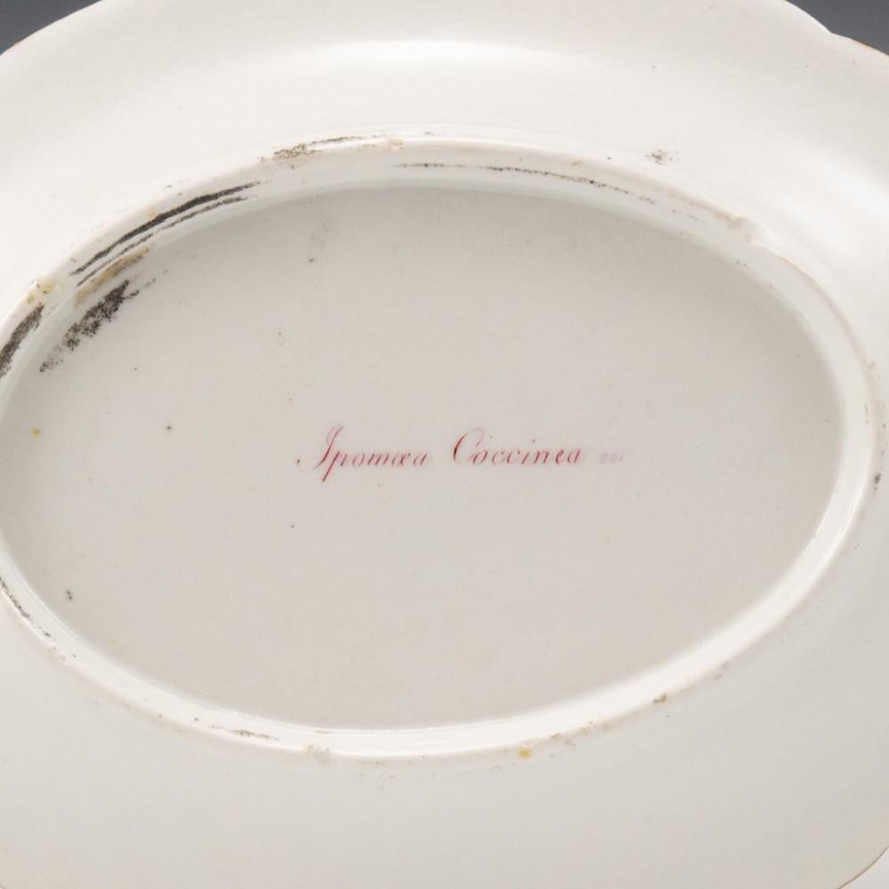 Coalport Porcelain Dessertterrine mit Deckel und Ständer, 1805-10 im Angebot 7