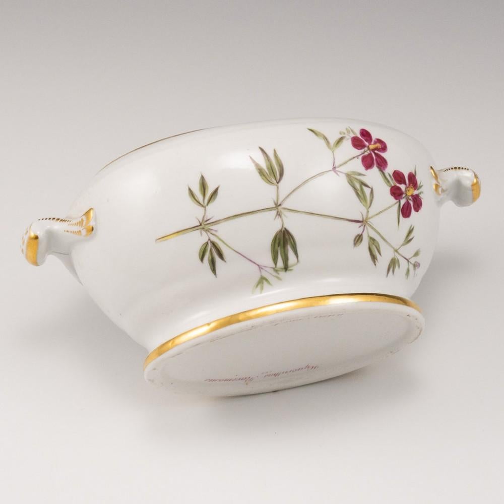 19th Century A Coalport Botanical Porcelain Dessert Tureen Cover and Stand, 1805-10 For Sale